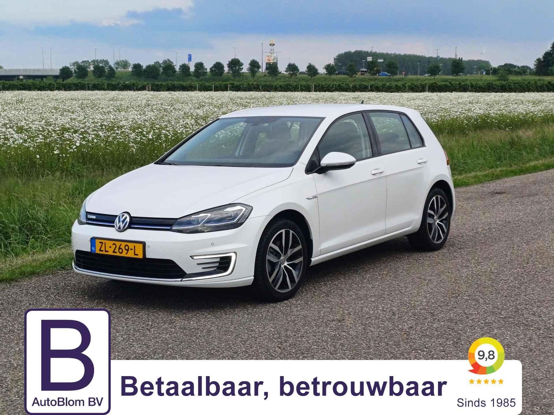 Volkswagen e-Golf BOVAG 40-Puntencheck