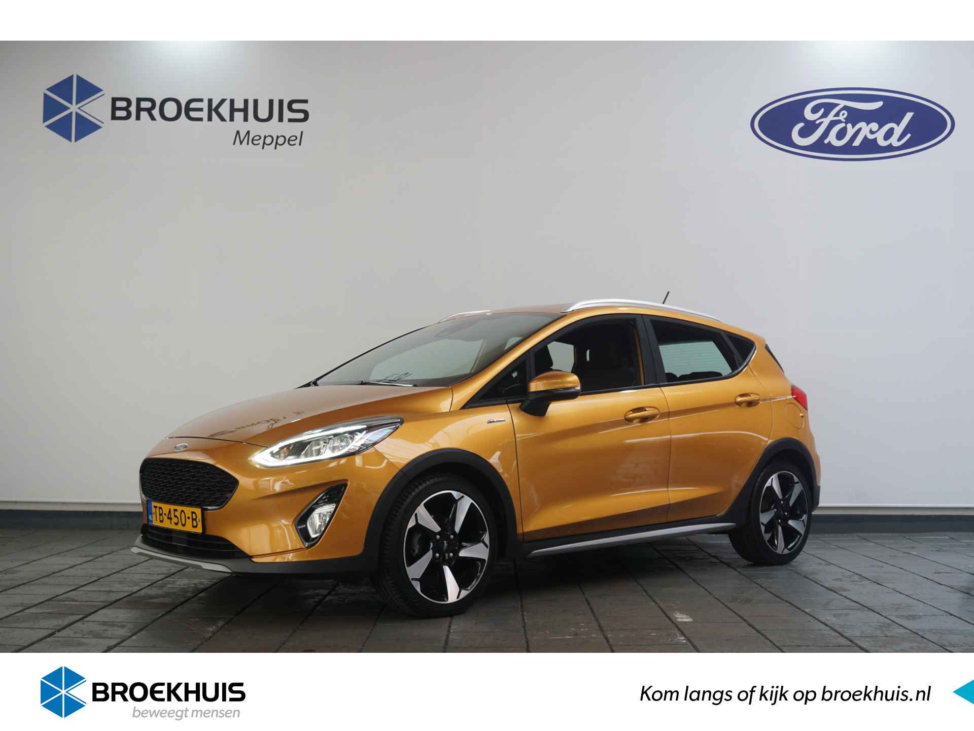 Ford Fiesta BOVAG 40-Puntencheck