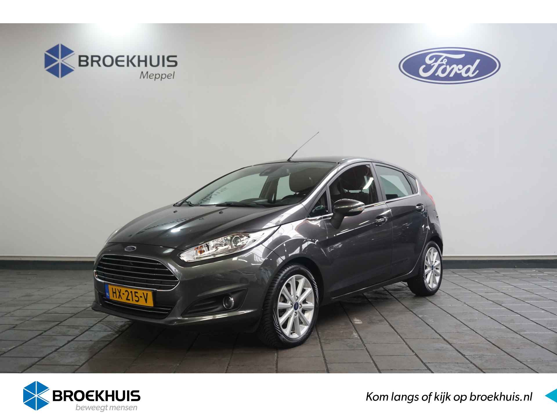 Ford Fiesta BOVAG 40-Puntencheck