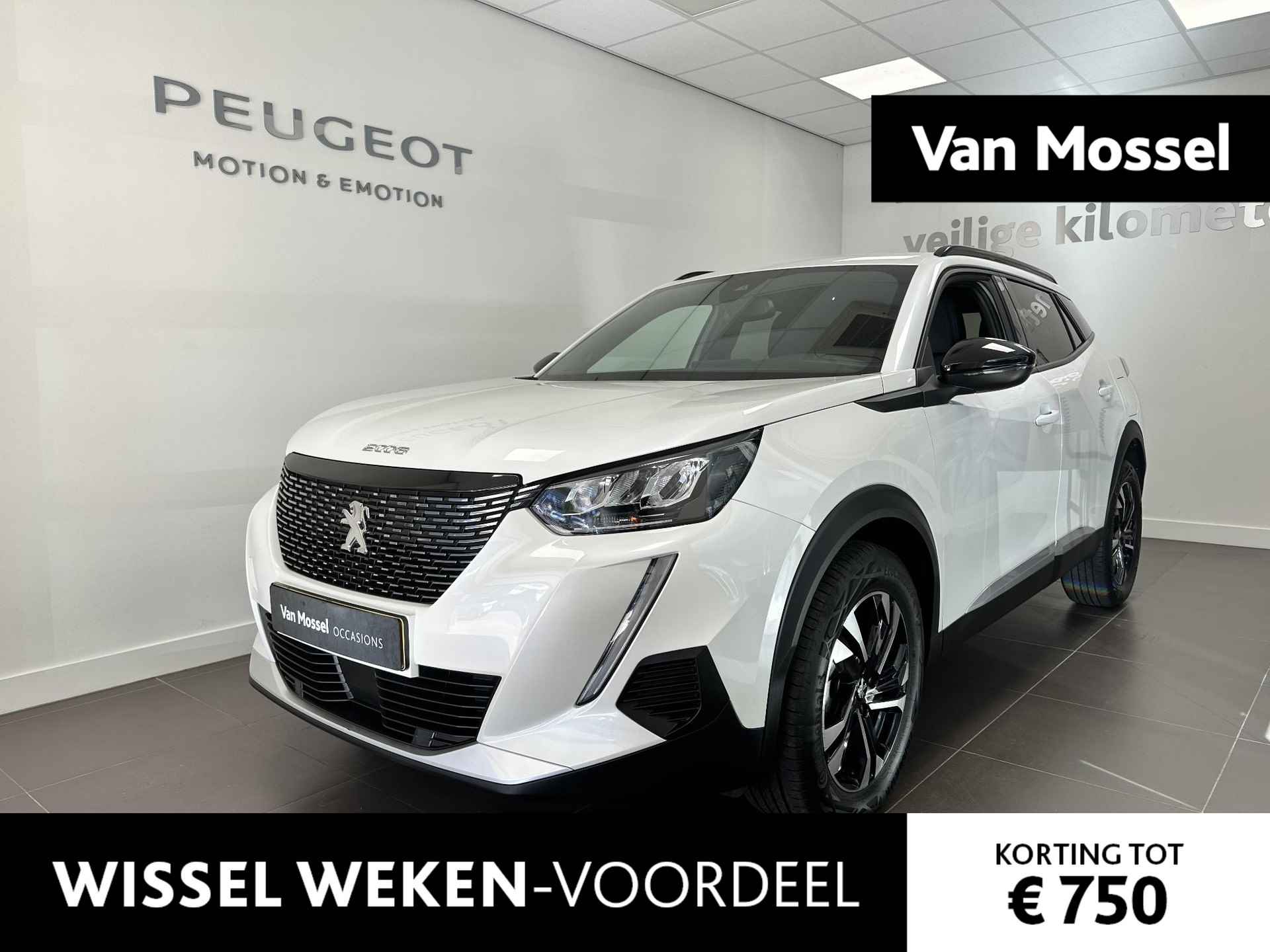 Peugeot 2008 BOVAG 40-Puntencheck