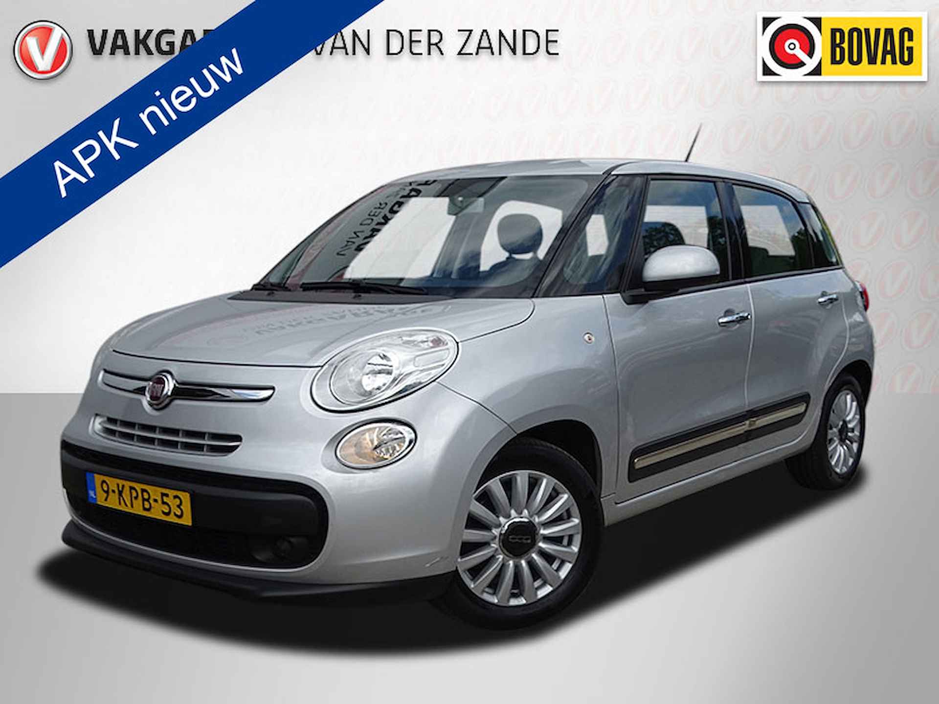 Fiat 500L BOVAG 40-Puntencheck