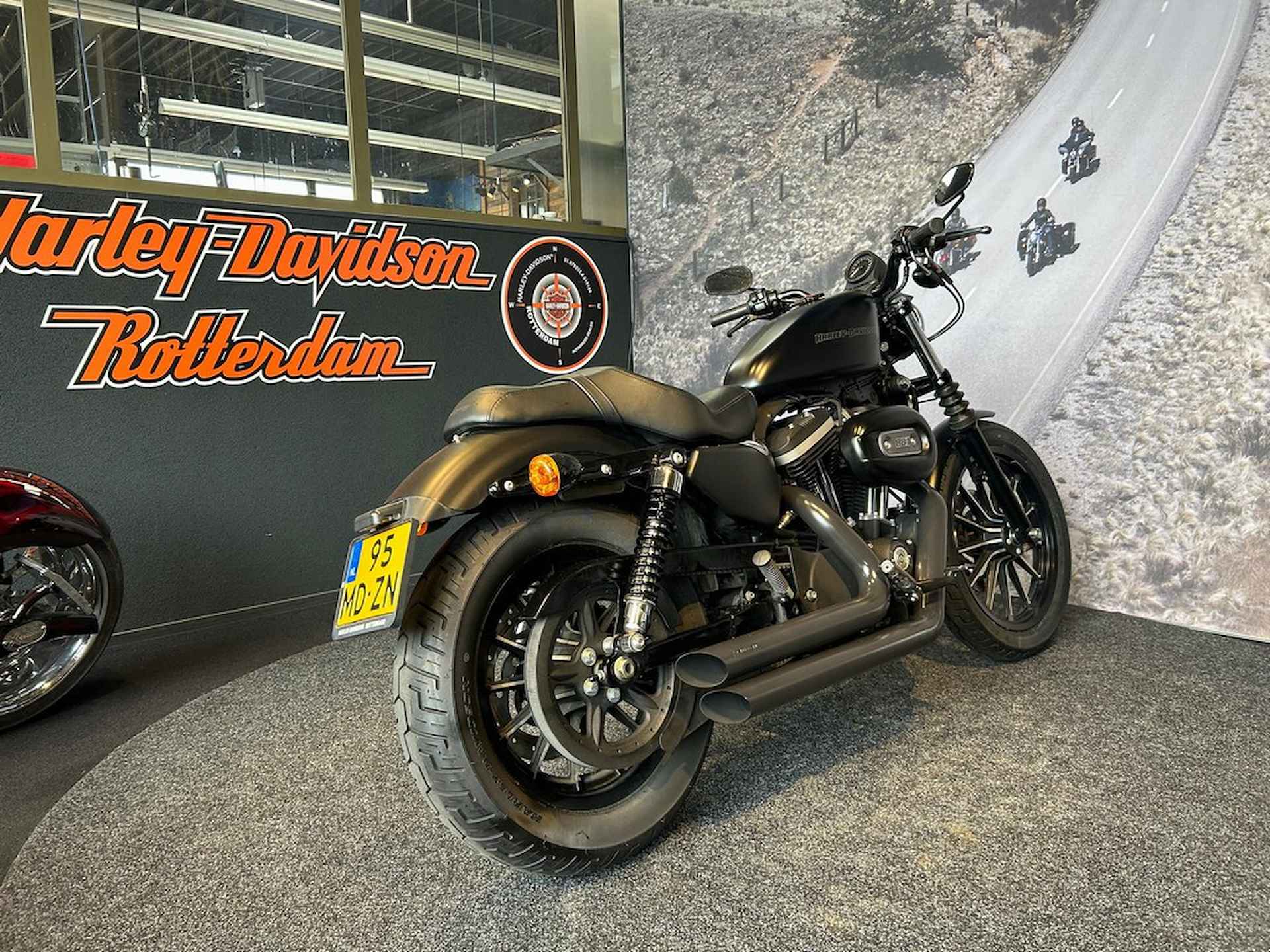 Harley-Davidson XL883N Sportster Iron - 6/11