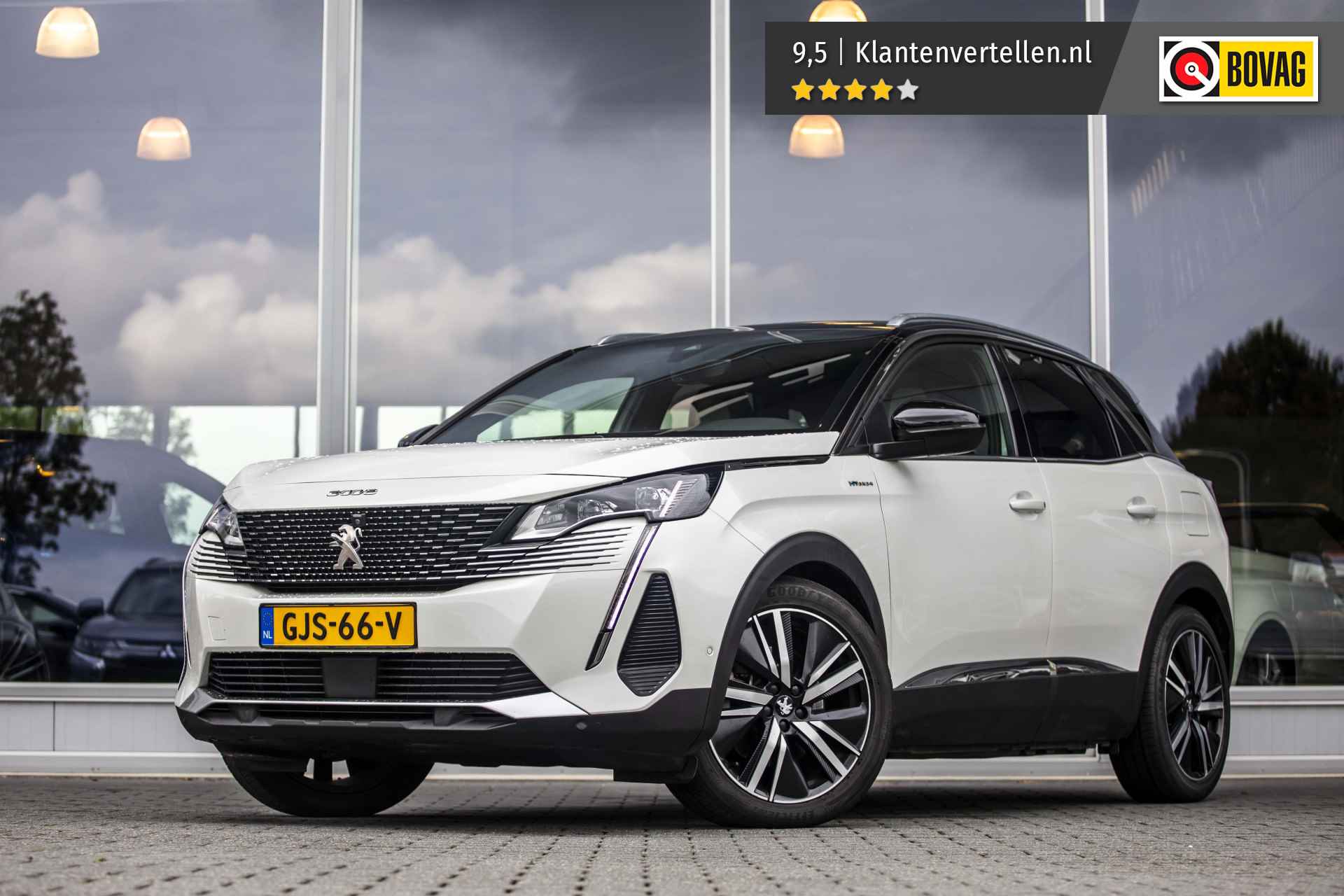 Peugeot 3008 BOVAG 40-Puntencheck