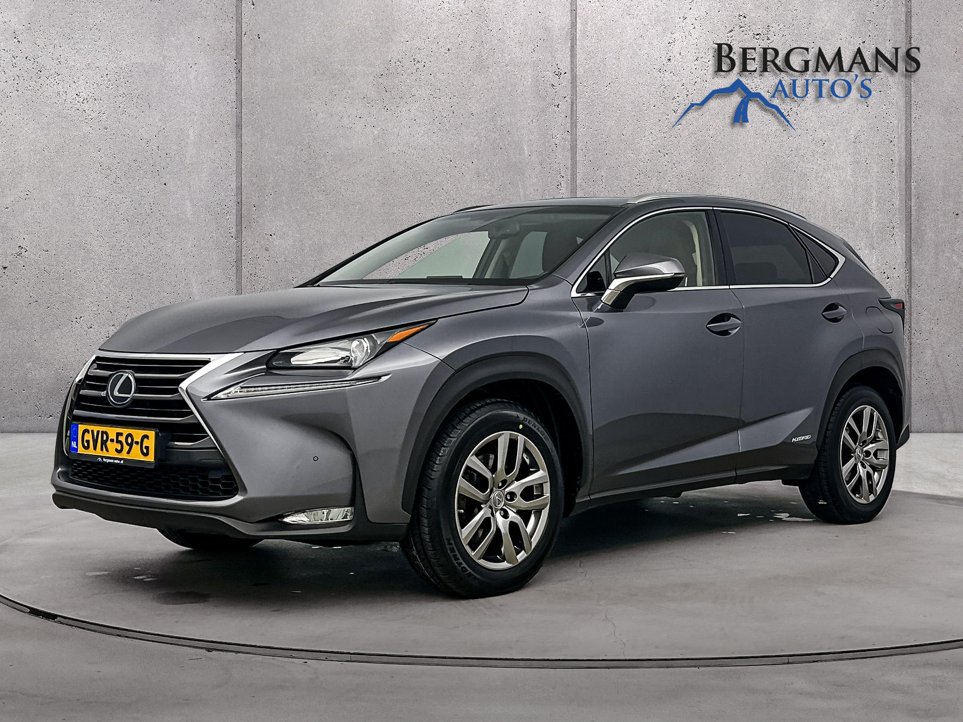 Lexus NX 300h AWD Business Line Pro // 1e EIGENAAR // ZONNEDAK // TREKHAAK //