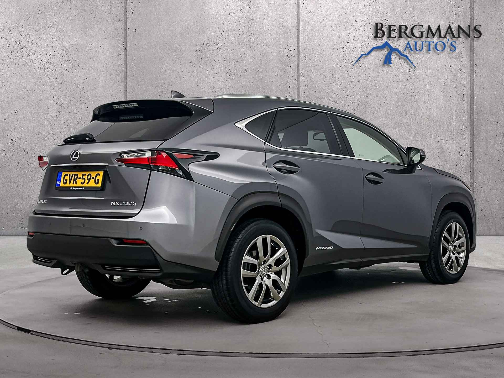 Lexus NX 300h AWD Business Line Pro // 1e EIGENAAR // ZONNEDAK // TREKHAAK // - 2/28