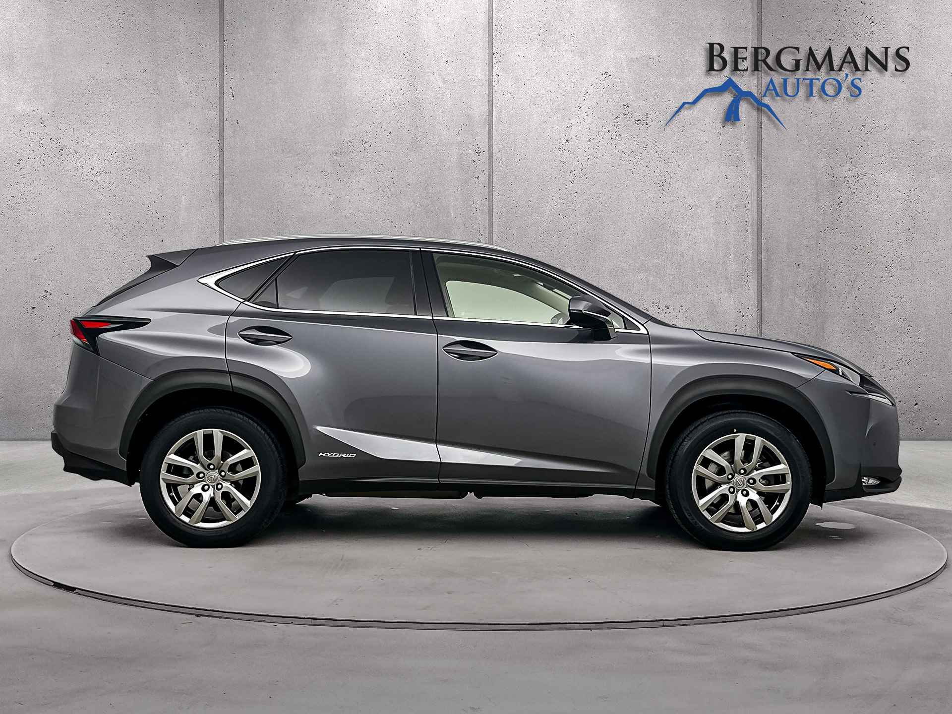 Lexus NX 300h AWD Business Line Pro // 1e EIGENAAR // ZONNEDAK // TREKHAAK // - 10/28