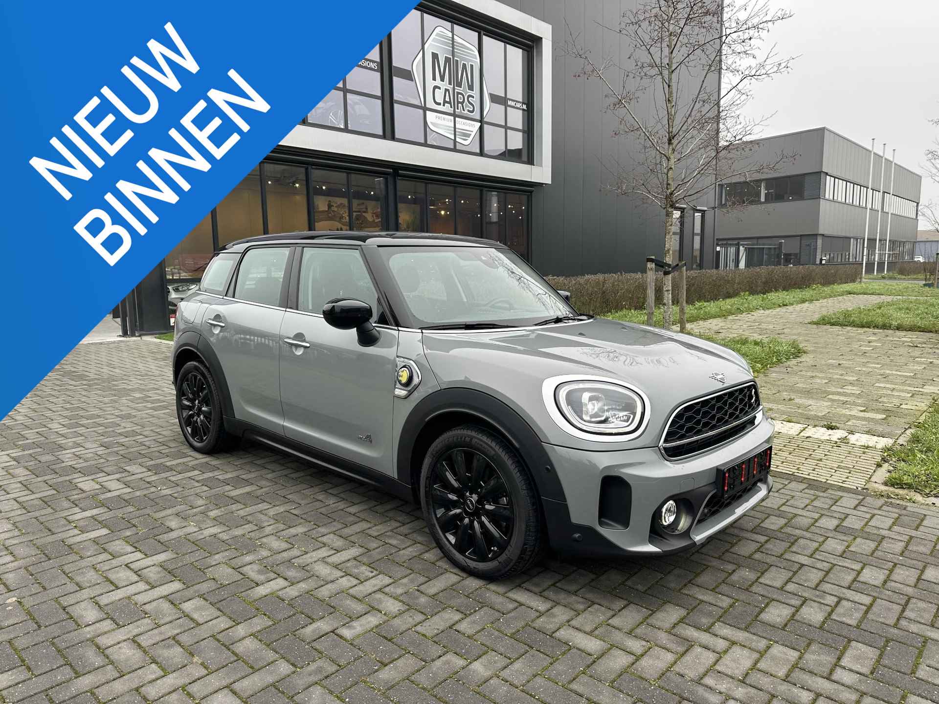 Mini Countryman