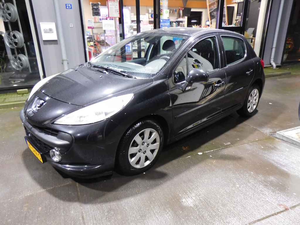 Peugeot 207 BOVAG 40-Puntencheck