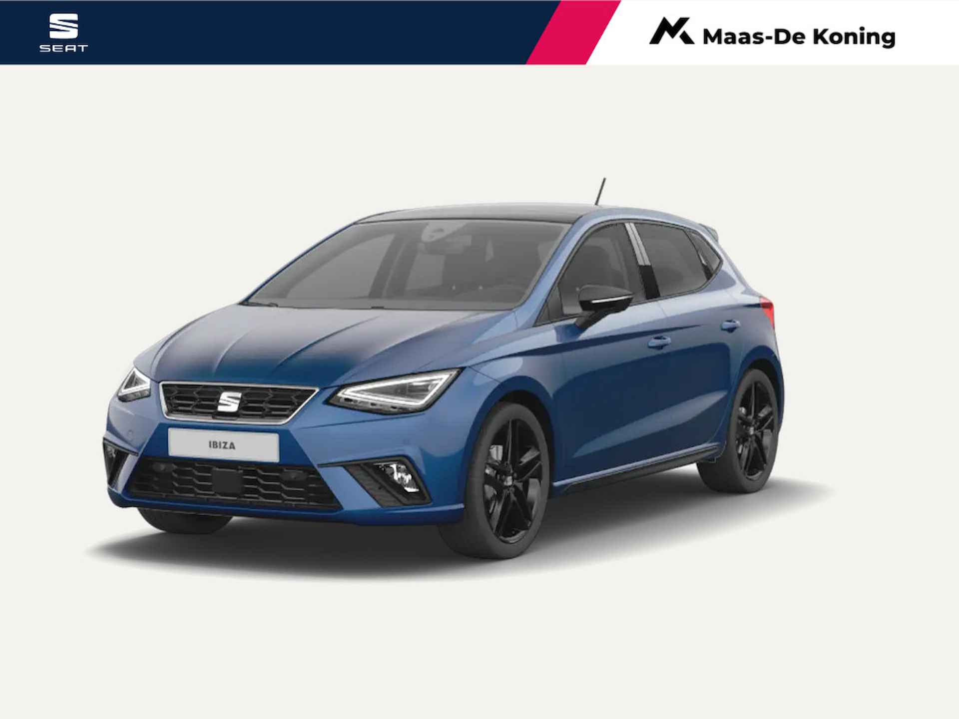 Seat Ibiza BOVAG 40-Puntencheck