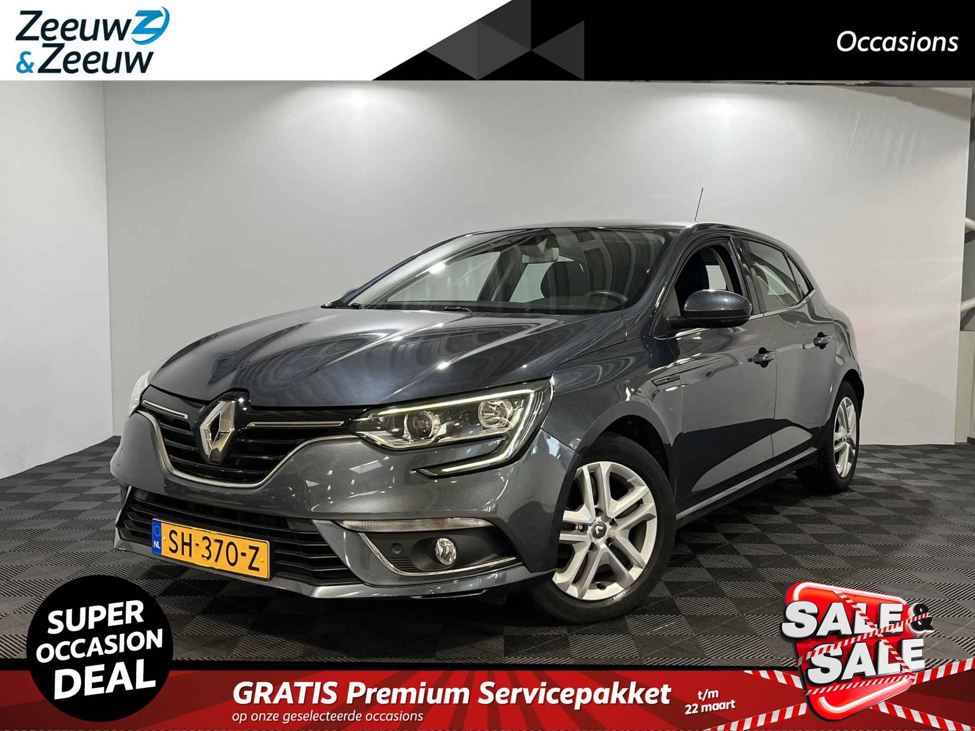 Renault Megane BOVAG 40-Puntencheck