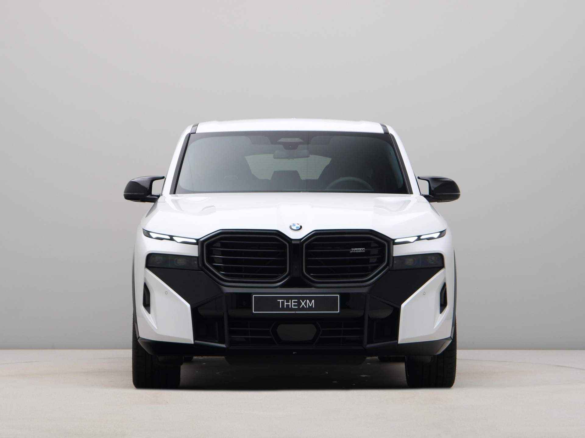 BMW XM PHEV 50e 30 kWh - 7/29