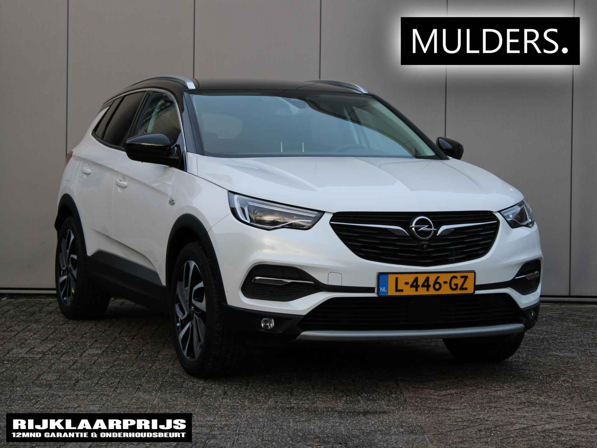 Opel Grandland X BOVAG 40-Puntencheck