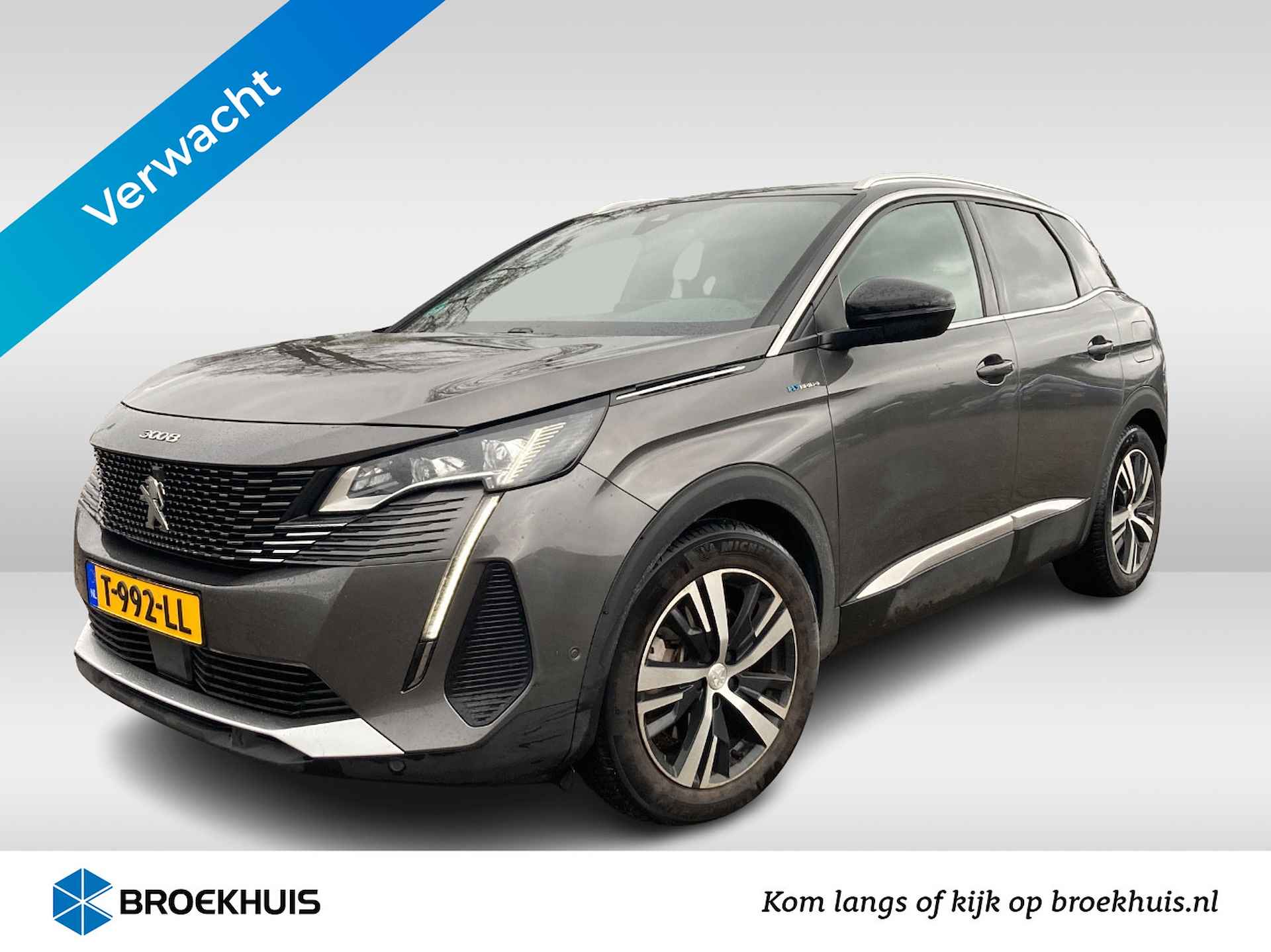 Peugeot 3008 BOVAG 40-Puntencheck