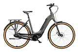 SPARTA C-Grid Energy Dames TiItan Grey Gloss 56cm 2024