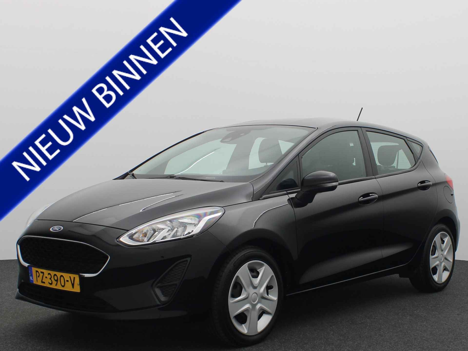 Ford Fiesta BOVAG 40-Puntencheck