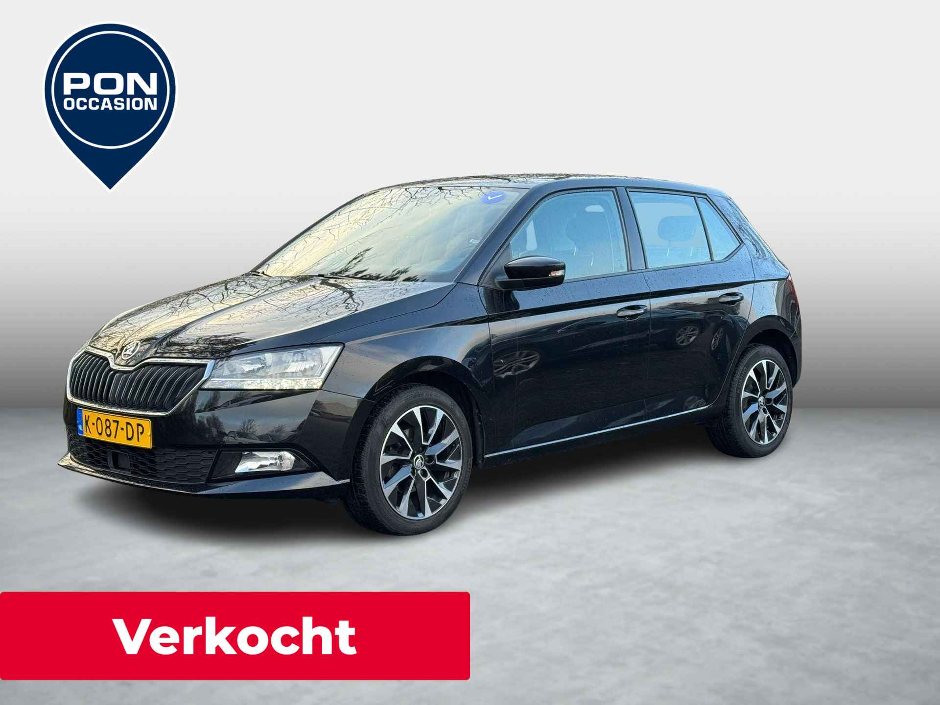 Škoda Fabia BOVAG 40-Puntencheck