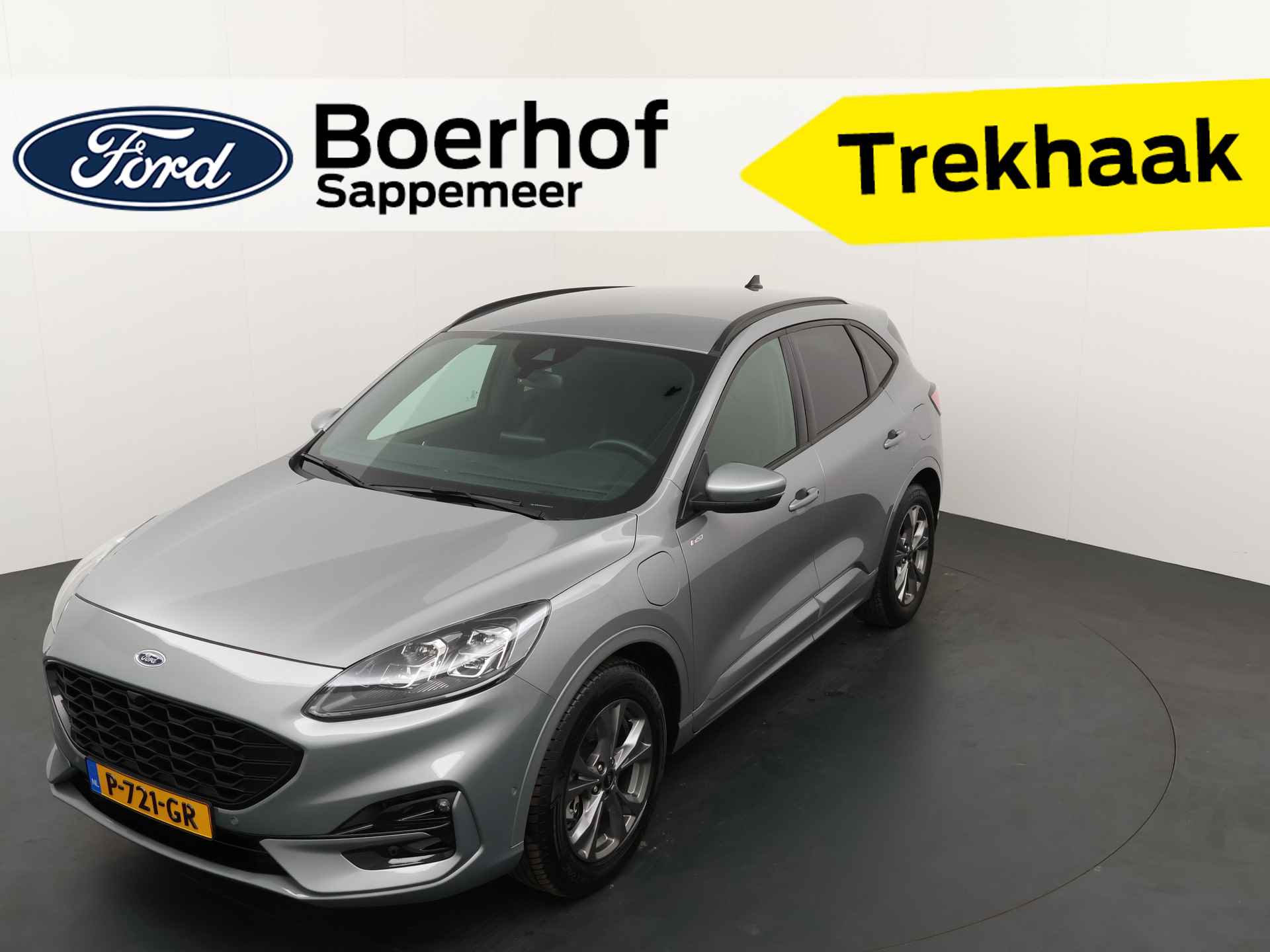 Ford Kuga BOVAG 40-Puntencheck