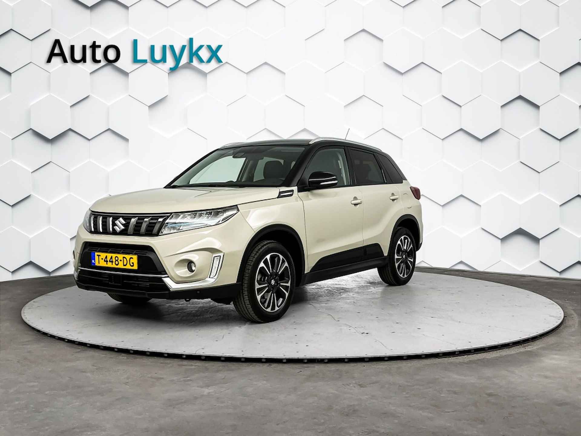 Suzuki Vitara BOVAG 40-Puntencheck