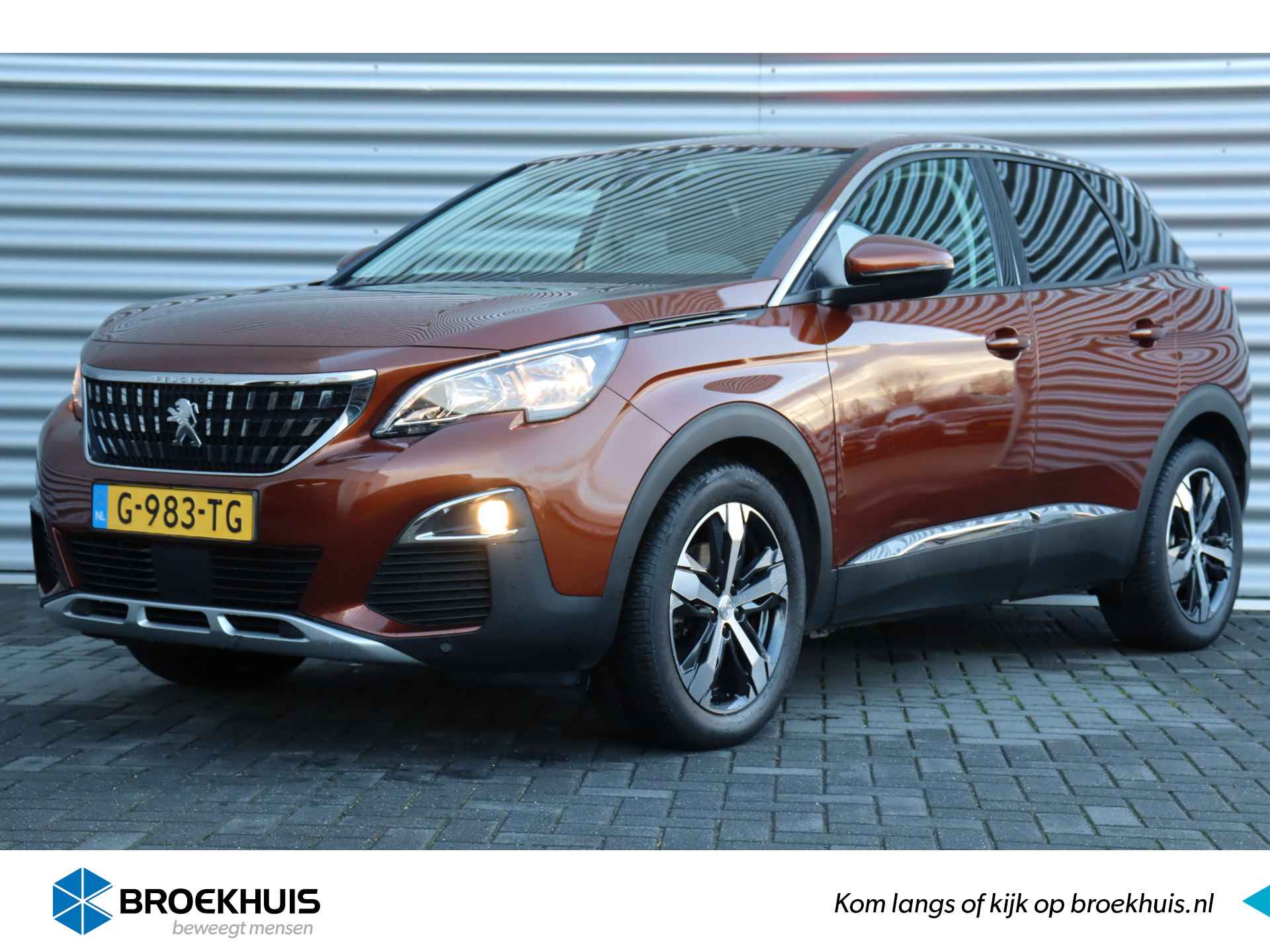 Peugeot 3008 BOVAG 40-Puntencheck