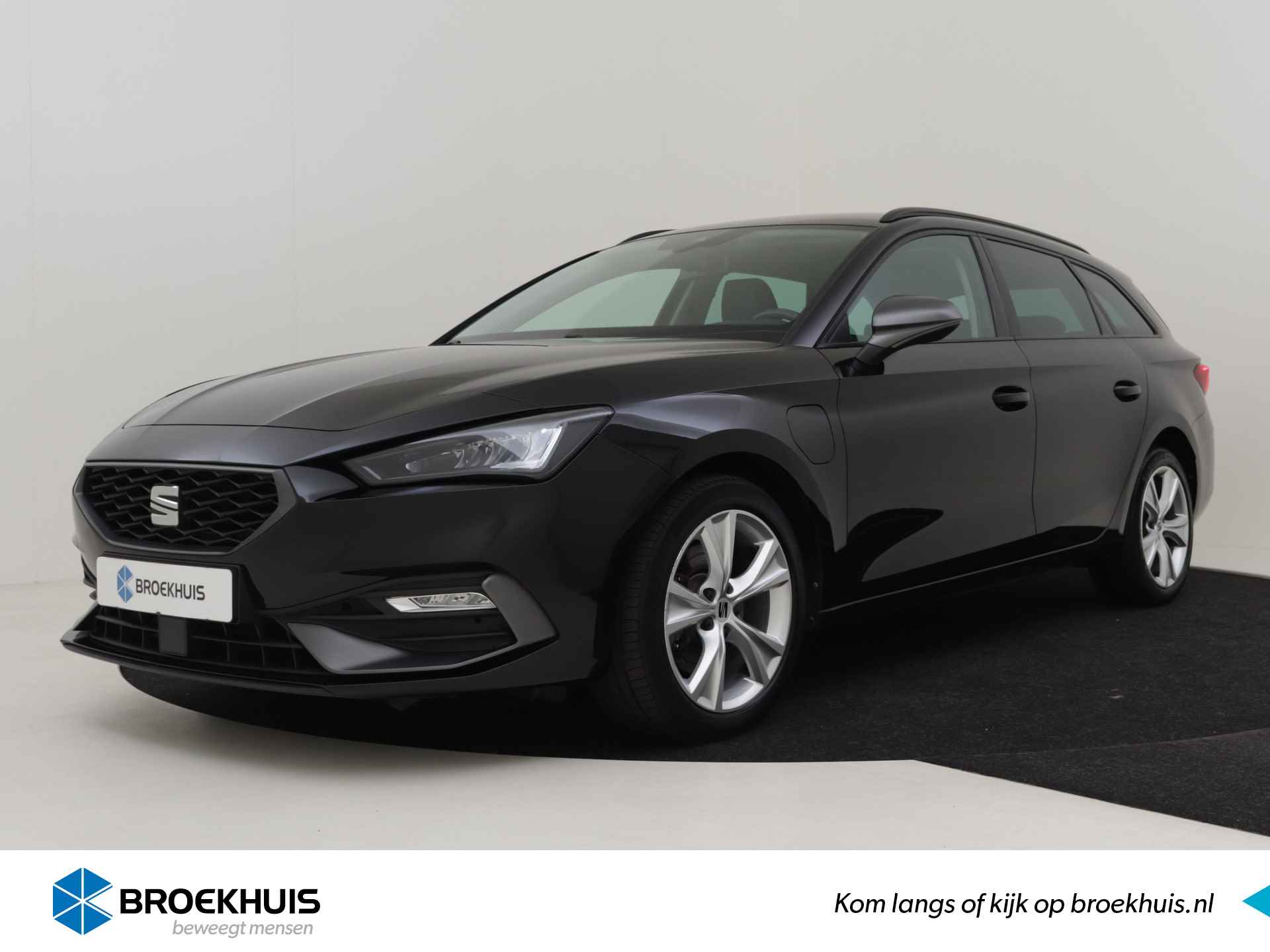 Seat Leon BOVAG 40-Puntencheck