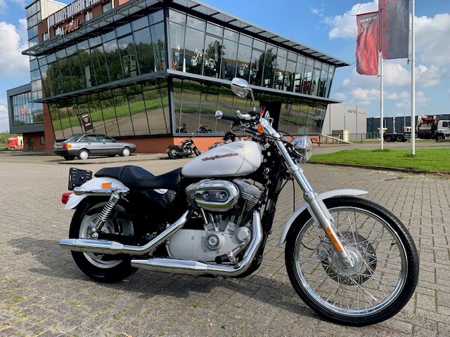 Harley-Davidson XL883C SPORTSTER CUSTOM