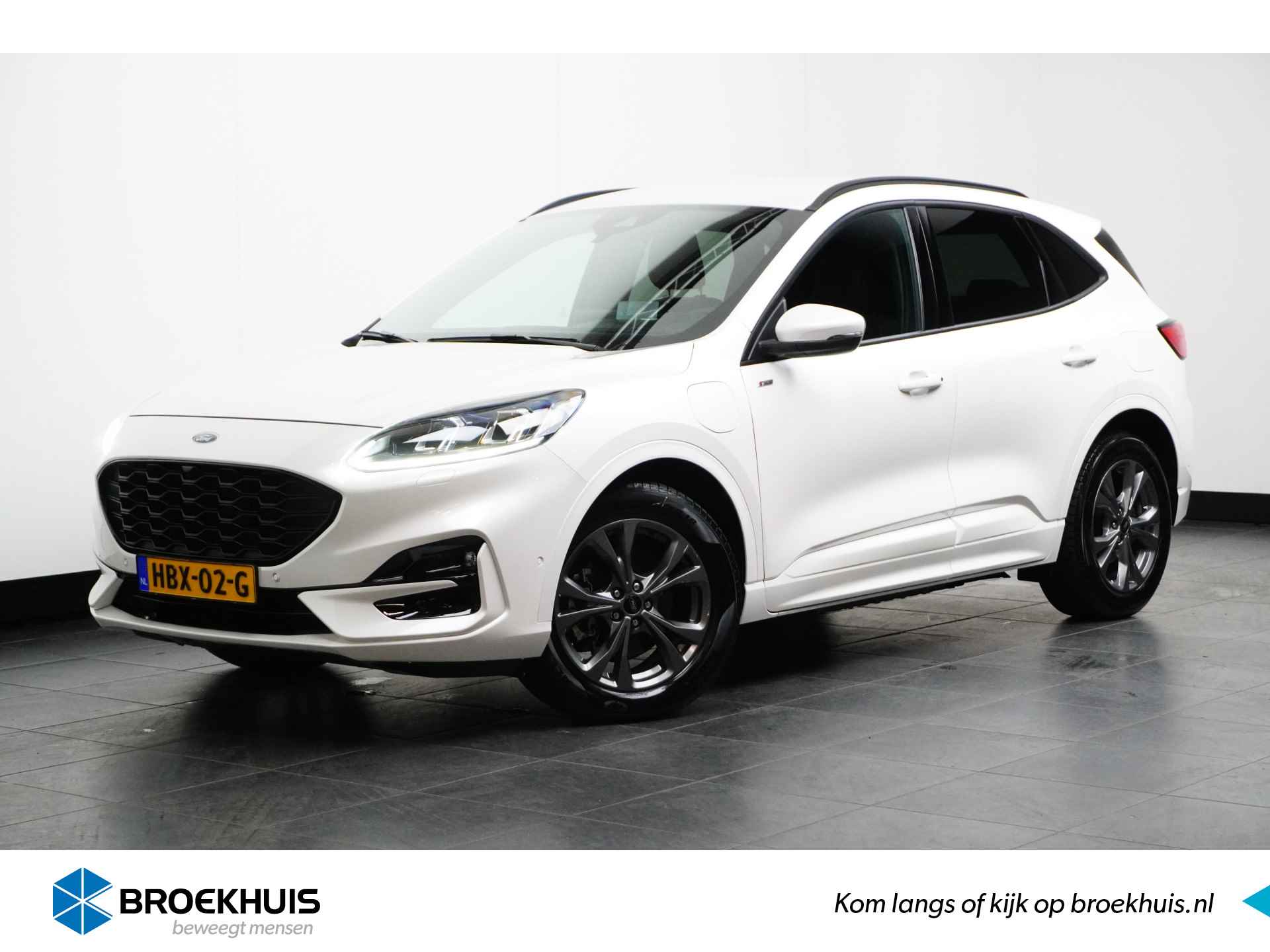 Ford Kuga BOVAG 40-Puntencheck