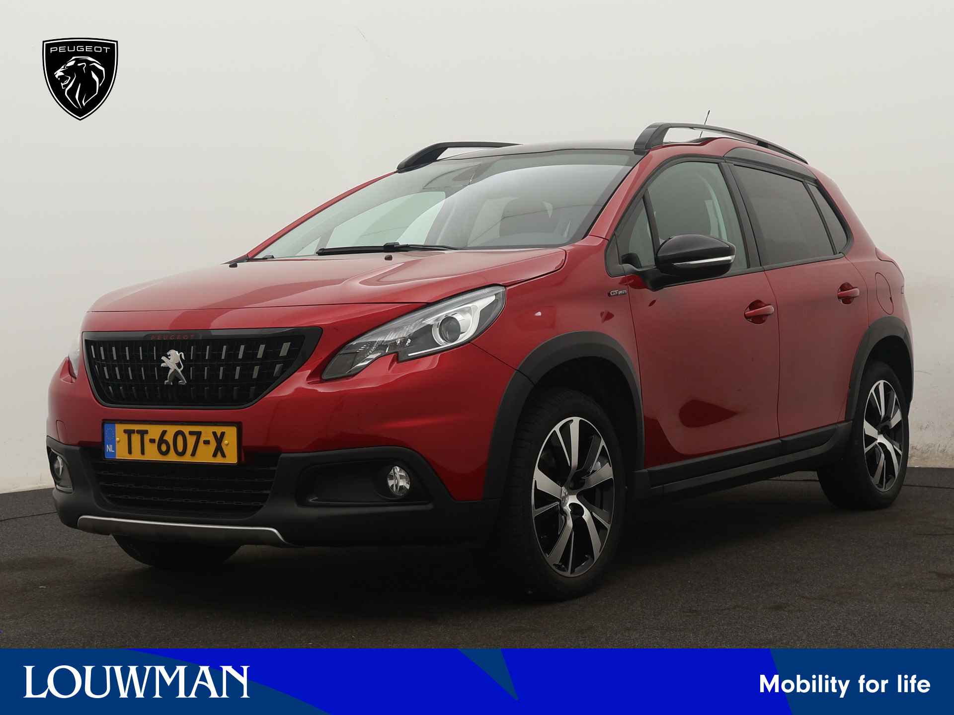 Peugeot 2008 BOVAG 40-Puntencheck