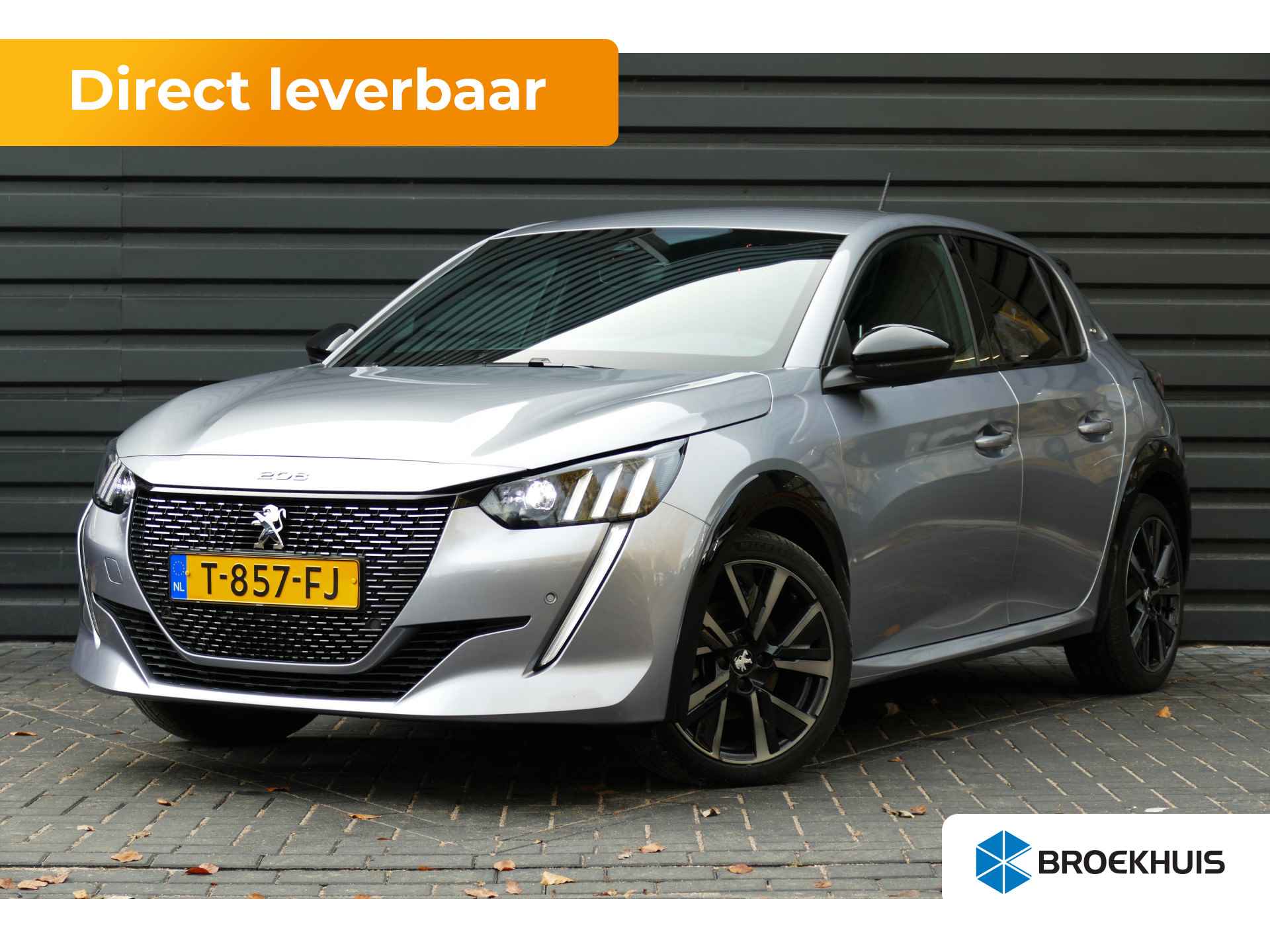 Peugeot 208 BOVAG 40-Puntencheck