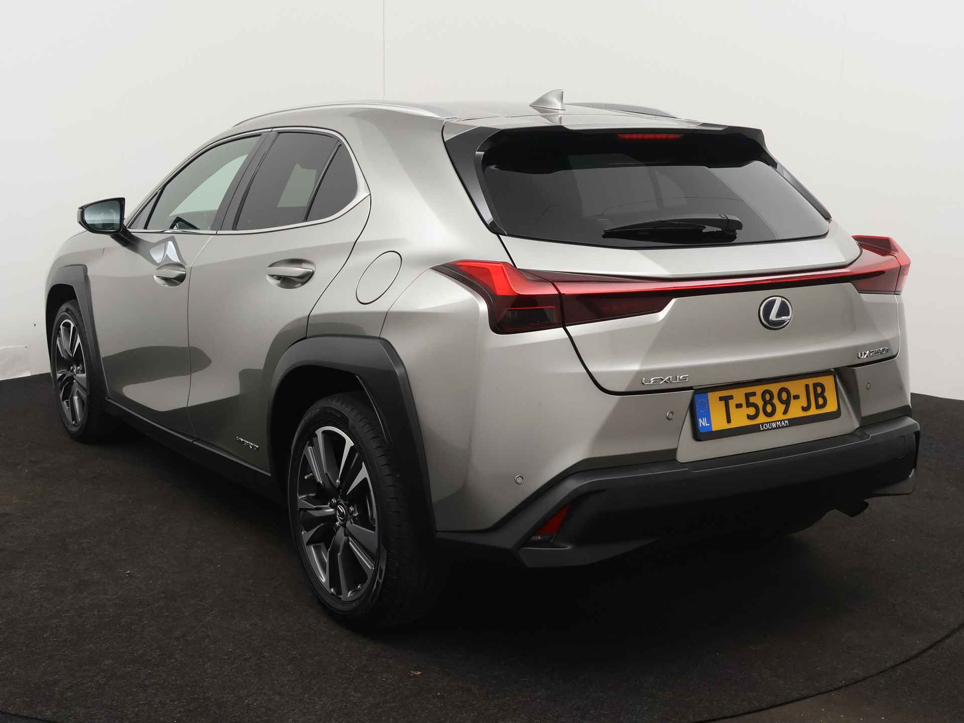 Lexus UX 250h Business Line Limited | Carplay | Dodehoekdetector | - 17/46