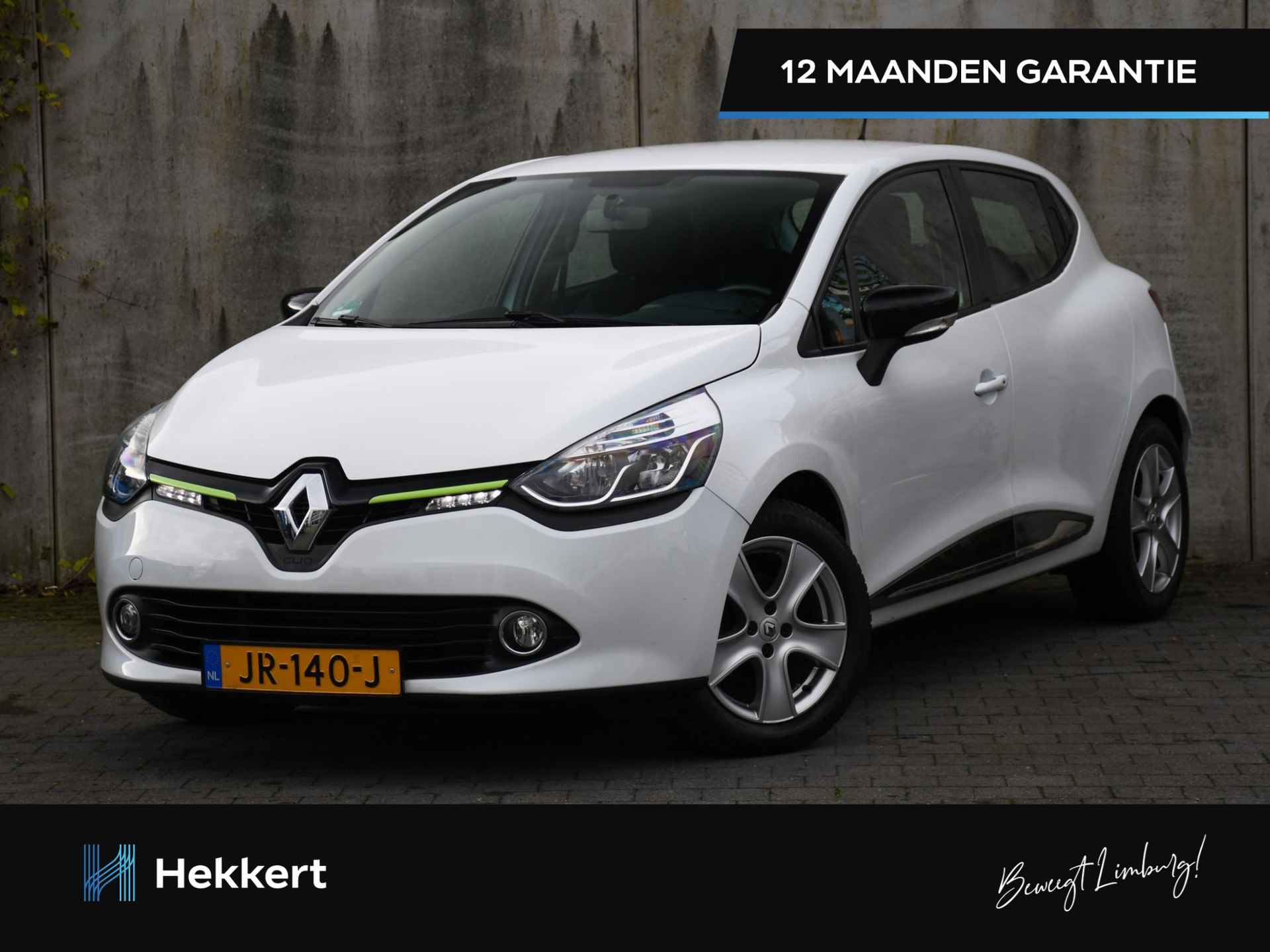 Renault Clio BOVAG 40-Puntencheck