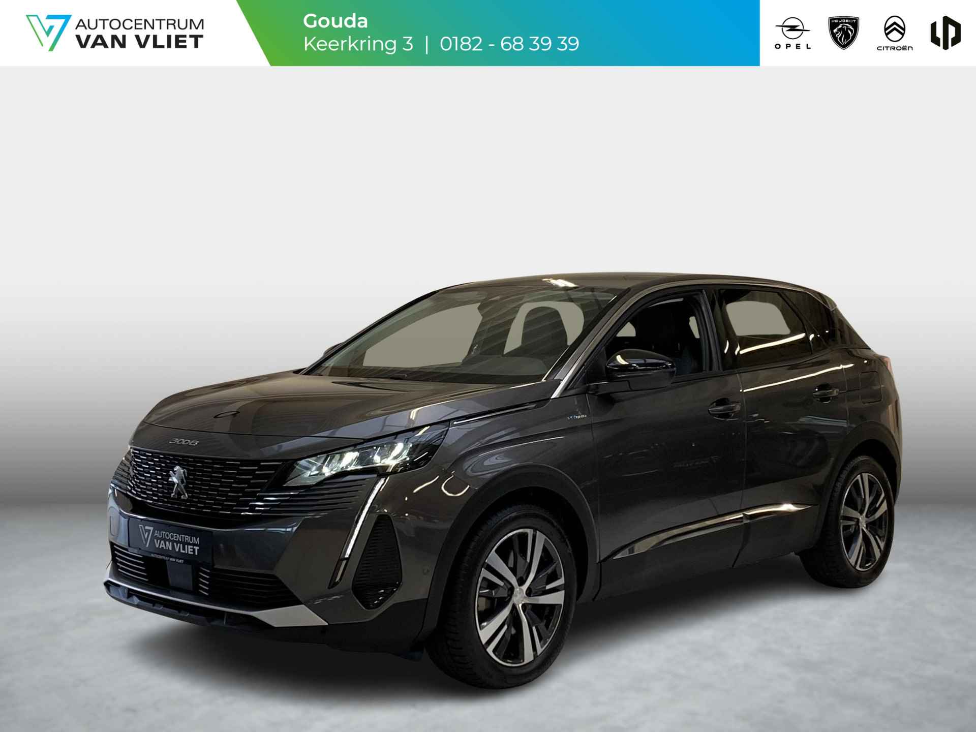 Peugeot 3008 BOVAG 40-Puntencheck