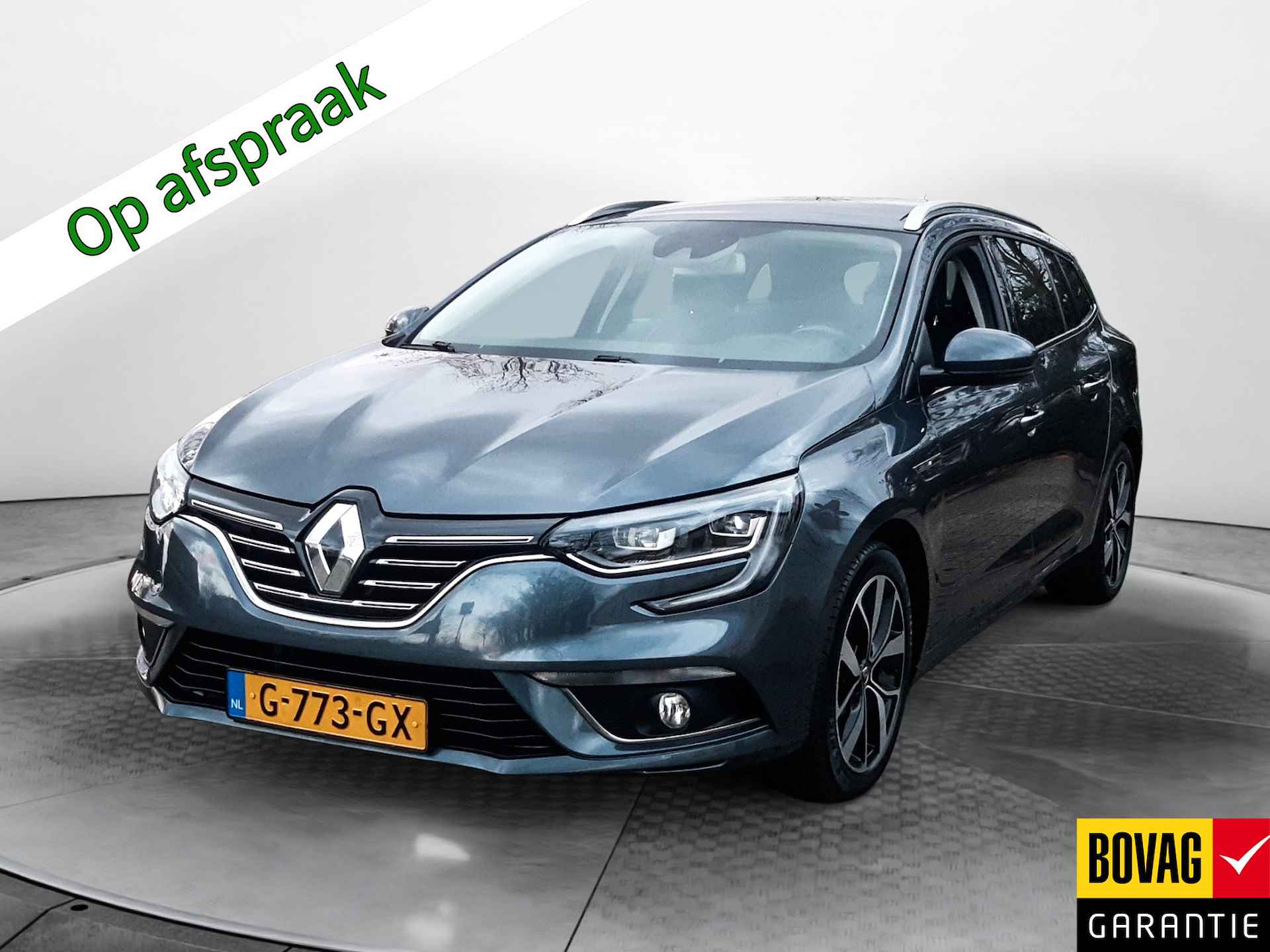 Renault Megane BOVAG 40-Puntencheck