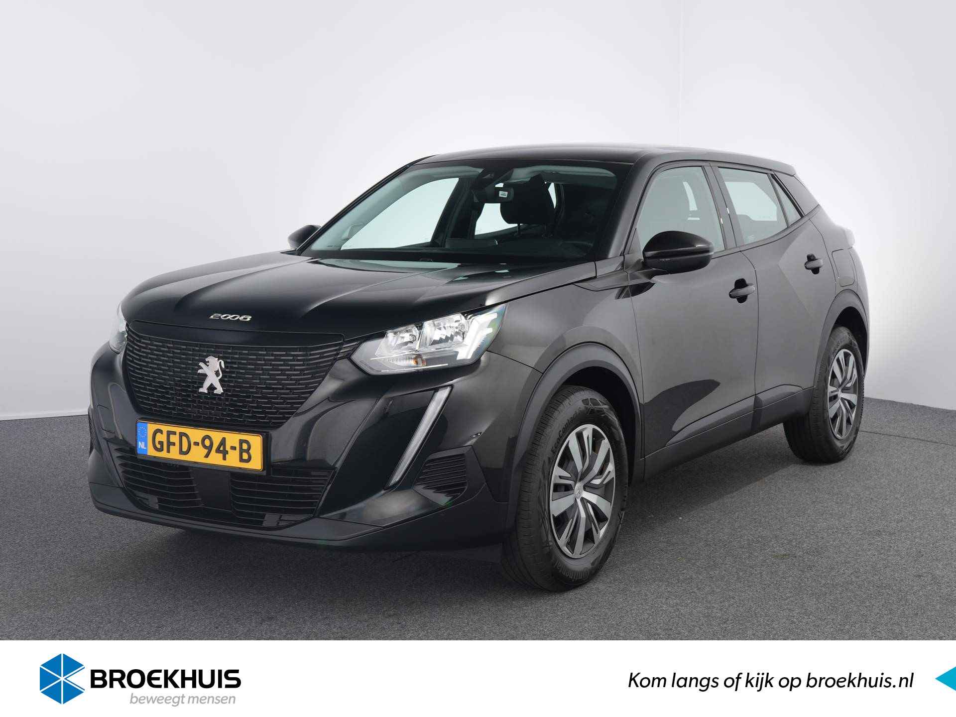 Peugeot 2008 BOVAG 40-Puntencheck