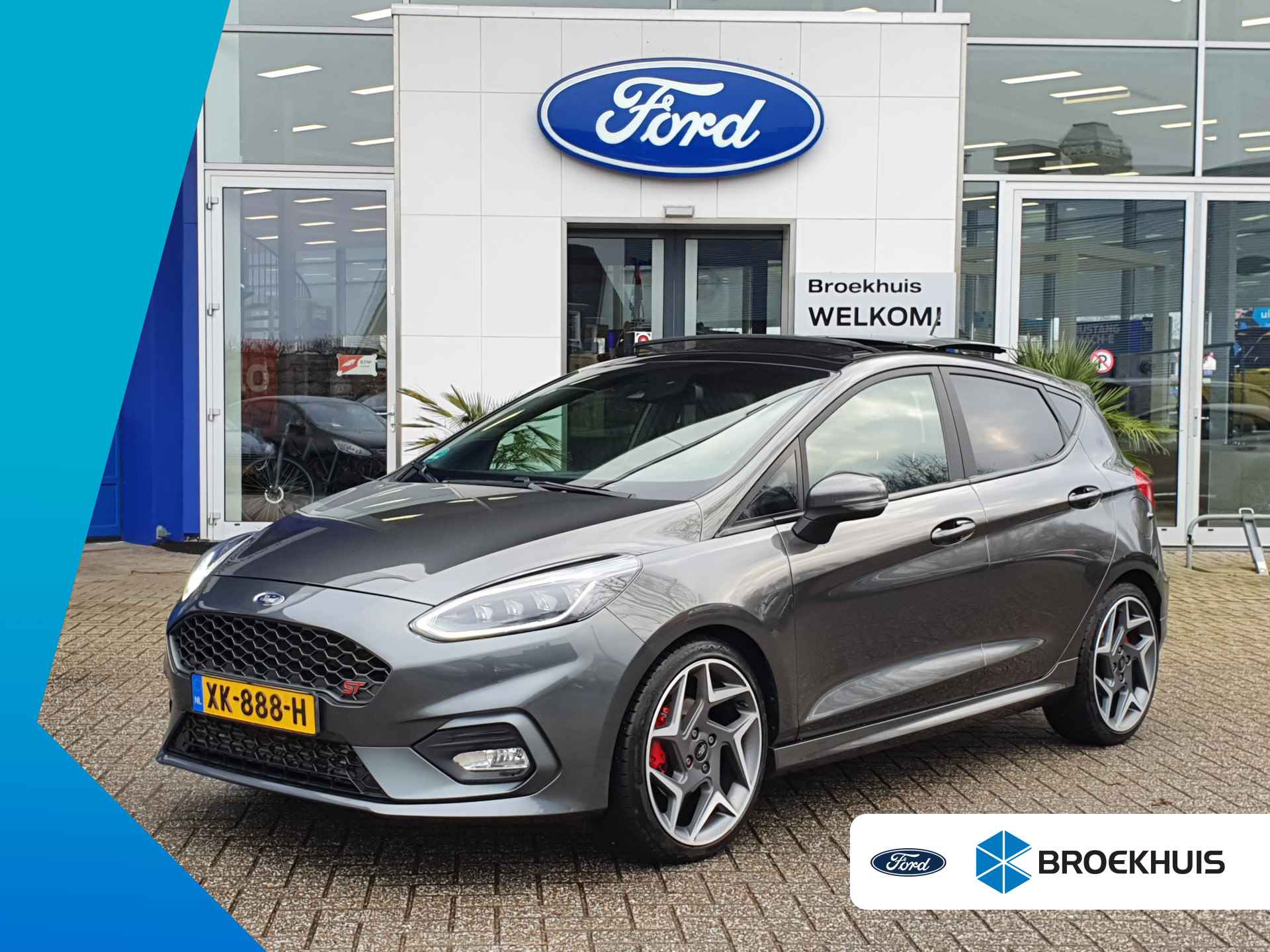 Ford Fiesta BOVAG 40-Puntencheck