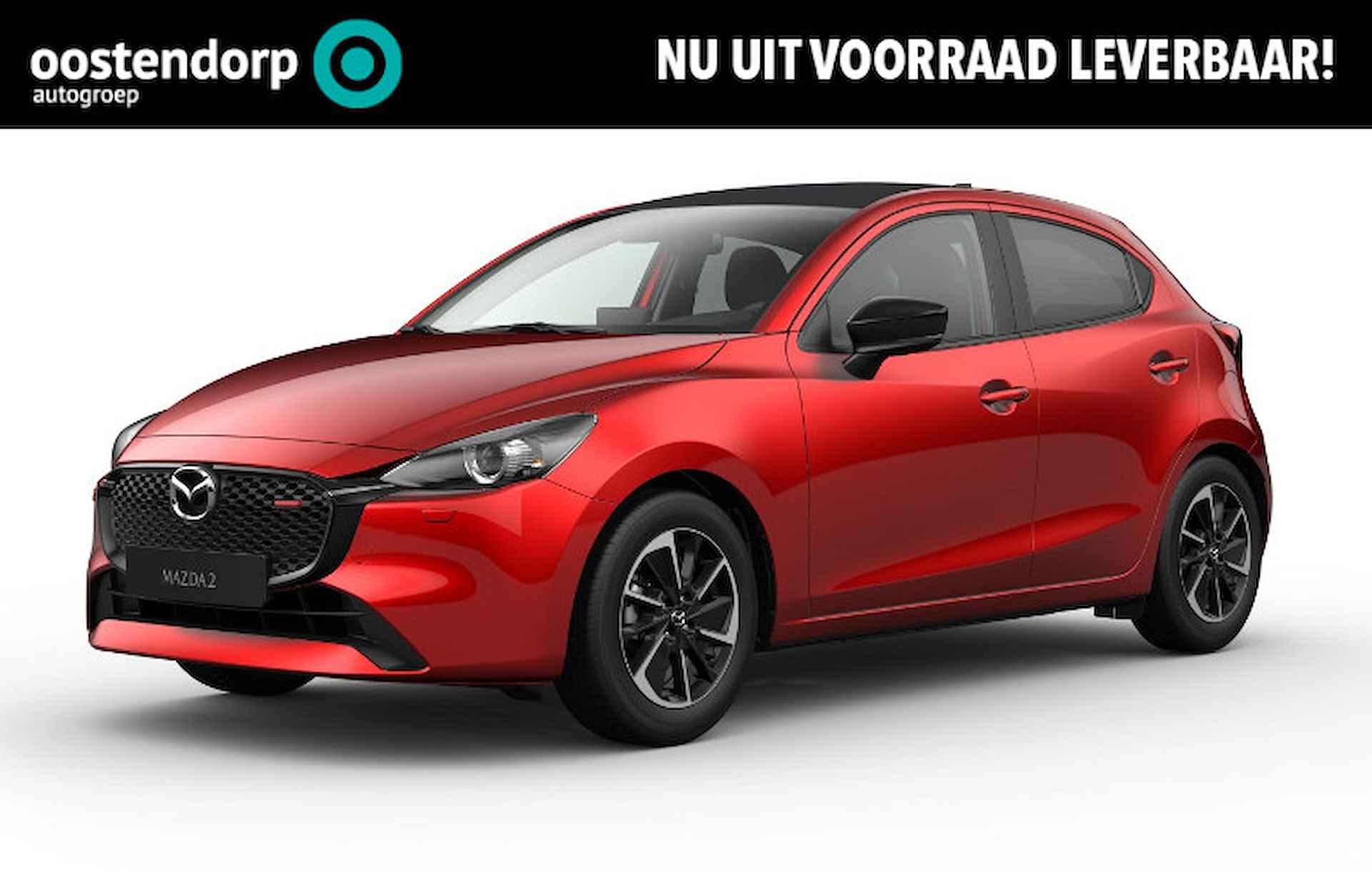 Mazda 2 BOVAG 40-Puntencheck