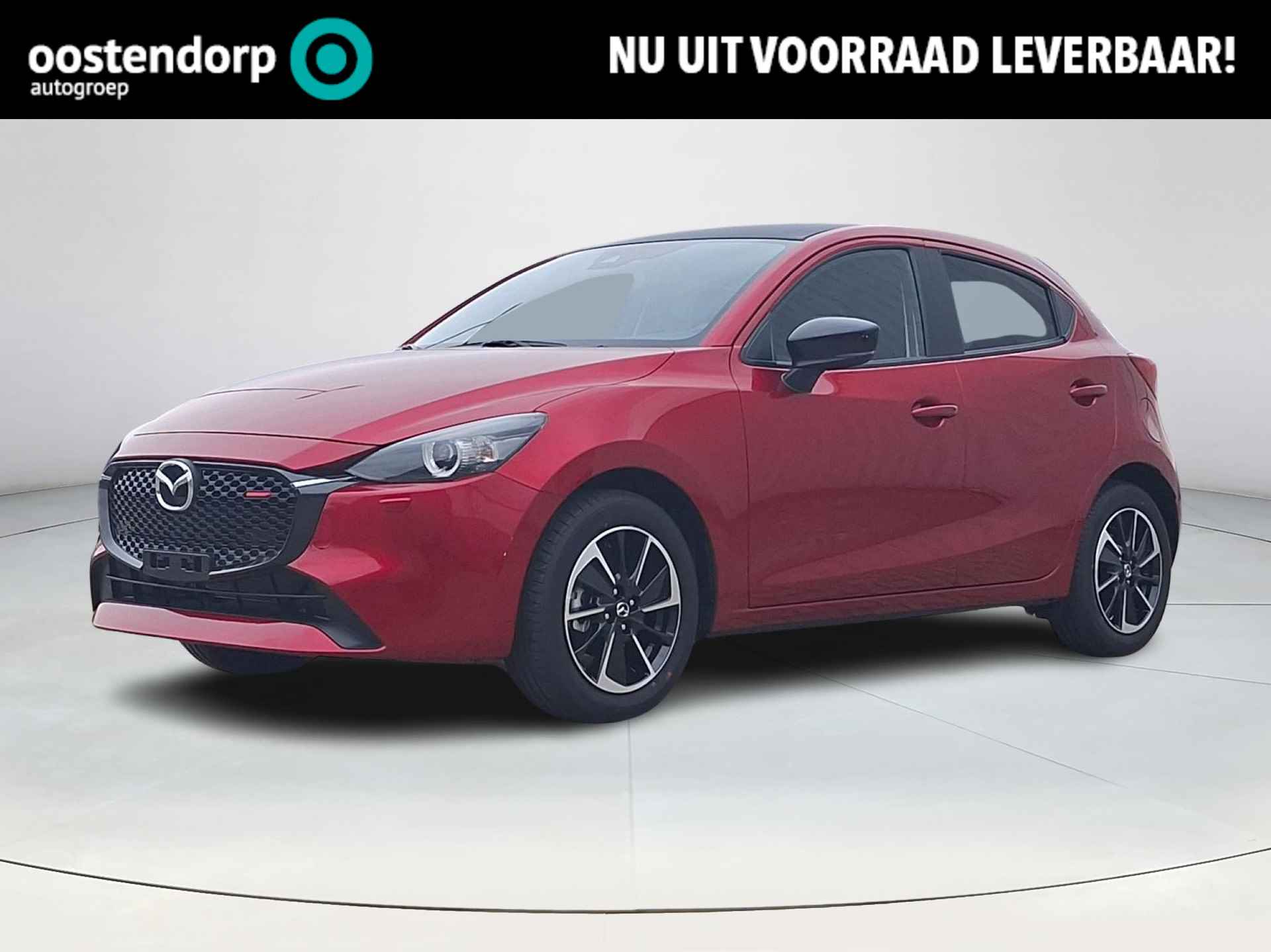 Mazda 2 BOVAG 40-Puntencheck