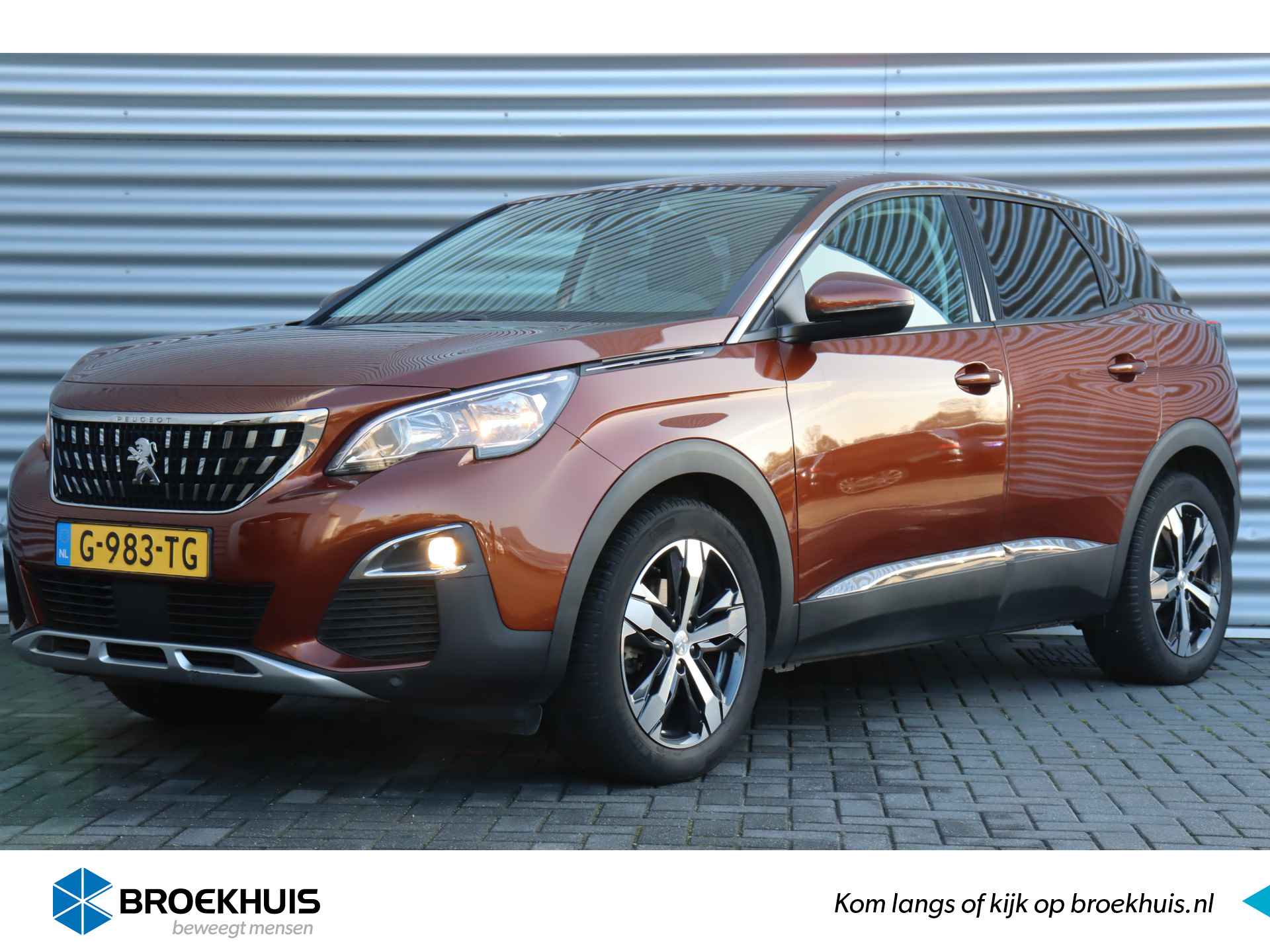 Peugeot 3008 BOVAG 40-Puntencheck