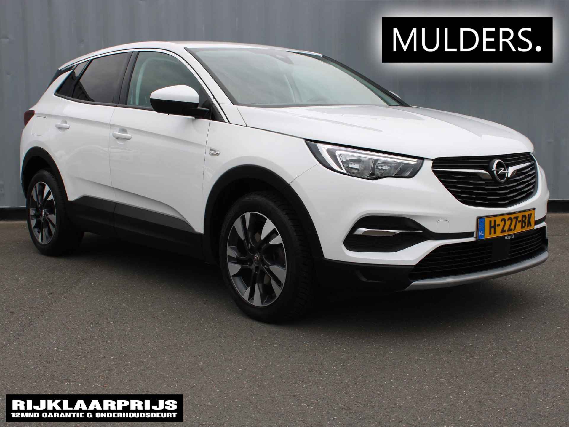 Opel Grandland X BOVAG 40-Puntencheck