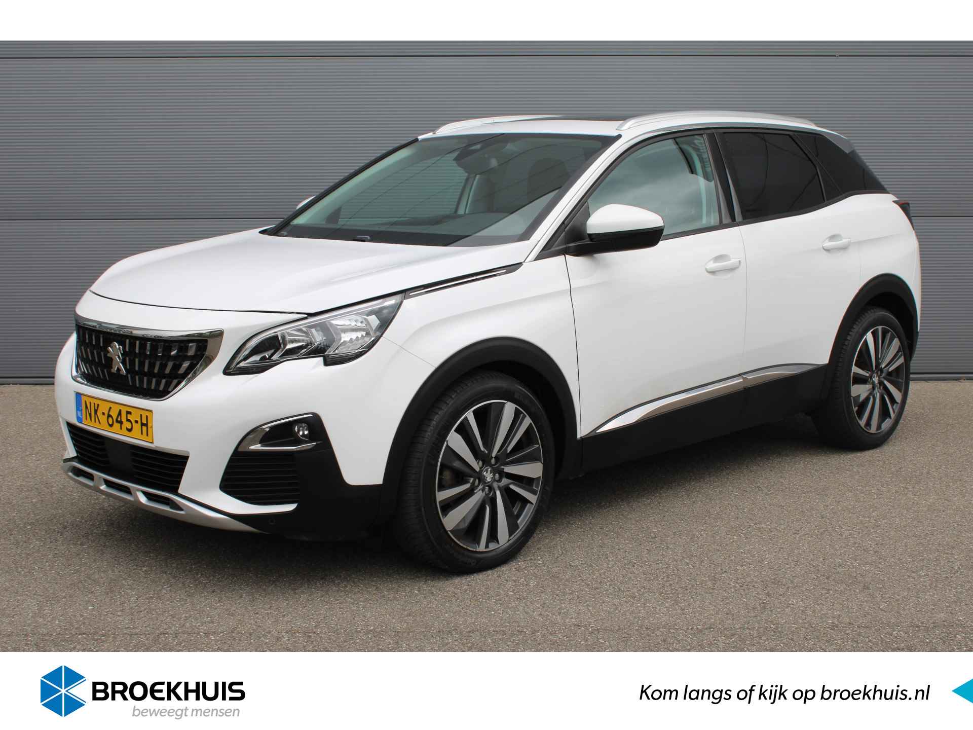 Peugeot 3008 BOVAG 40-Puntencheck