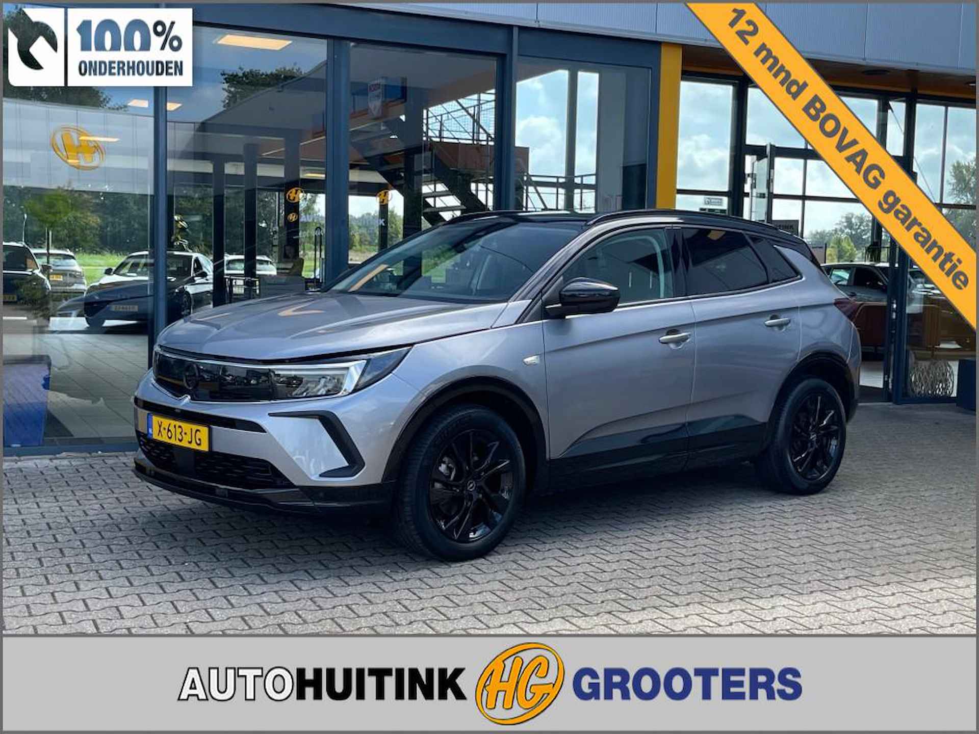 Opel Grandland X BOVAG 40-Puntencheck