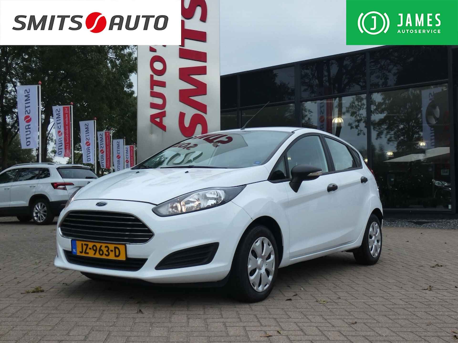 Ford Fiesta BOVAG 40-Puntencheck