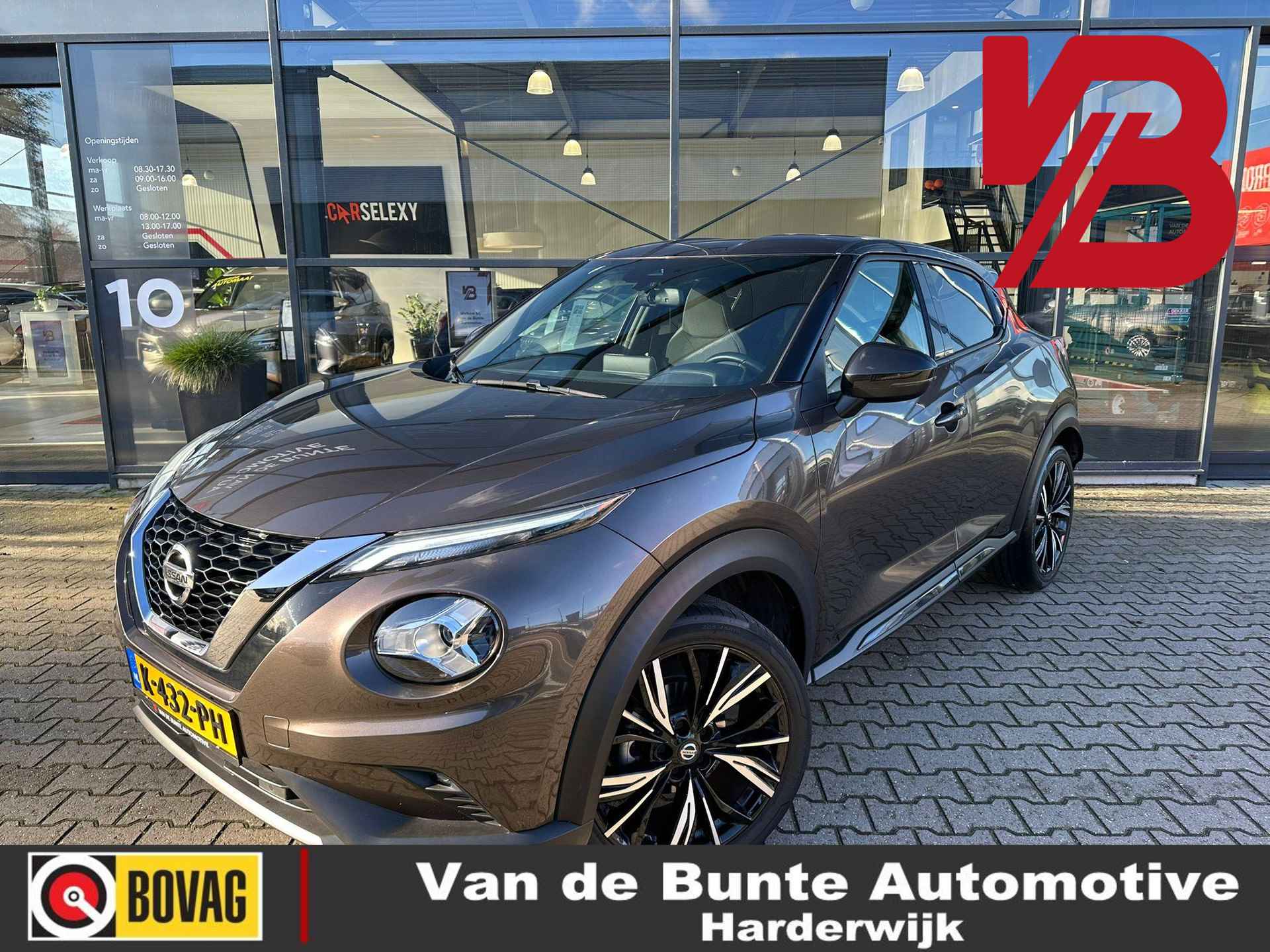 Nissan Juke BOVAG 40-Puntencheck