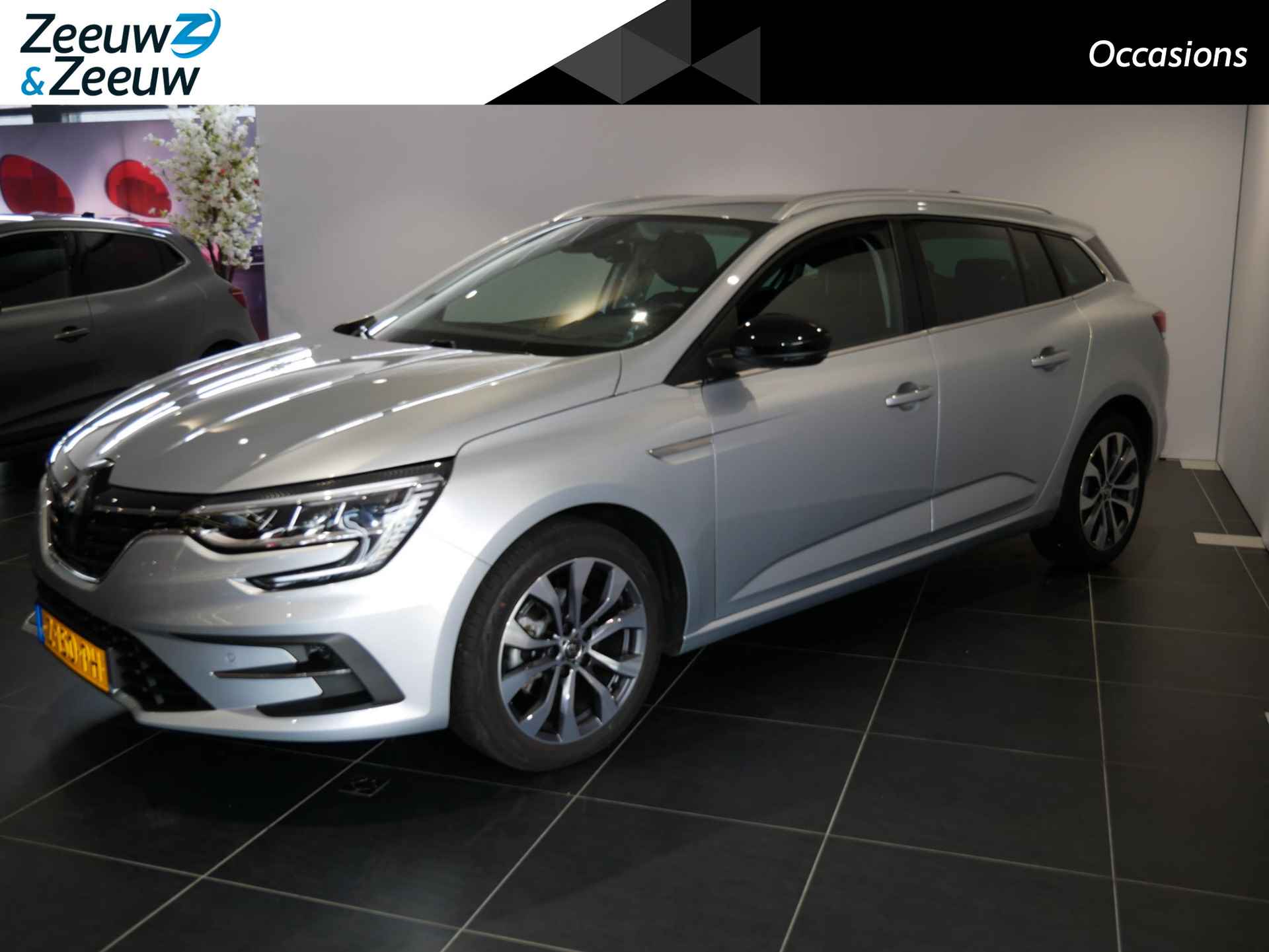 Renault Megane BOVAG 40-Puntencheck