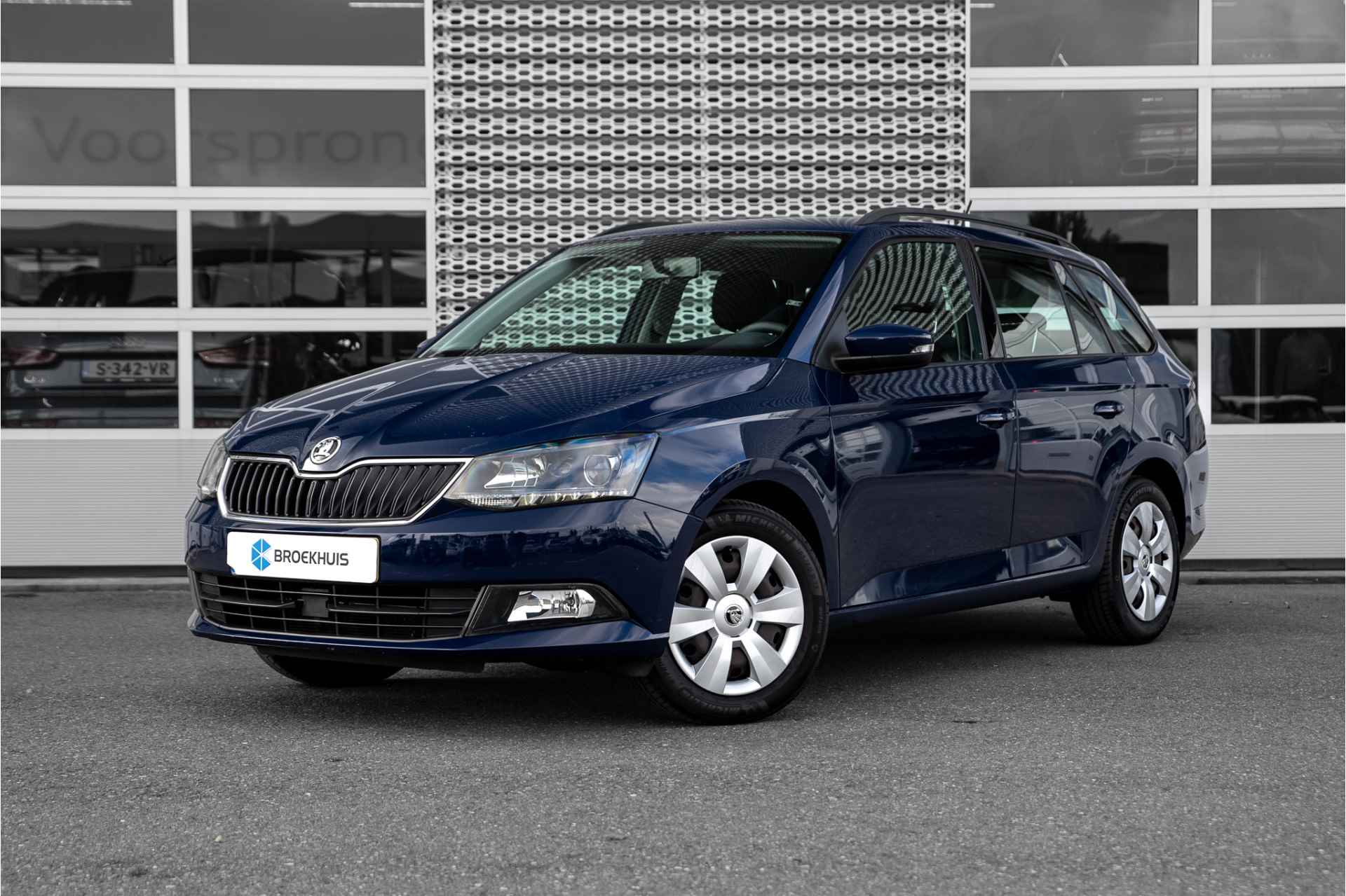 Škoda Fabia BOVAG 40-Puntencheck