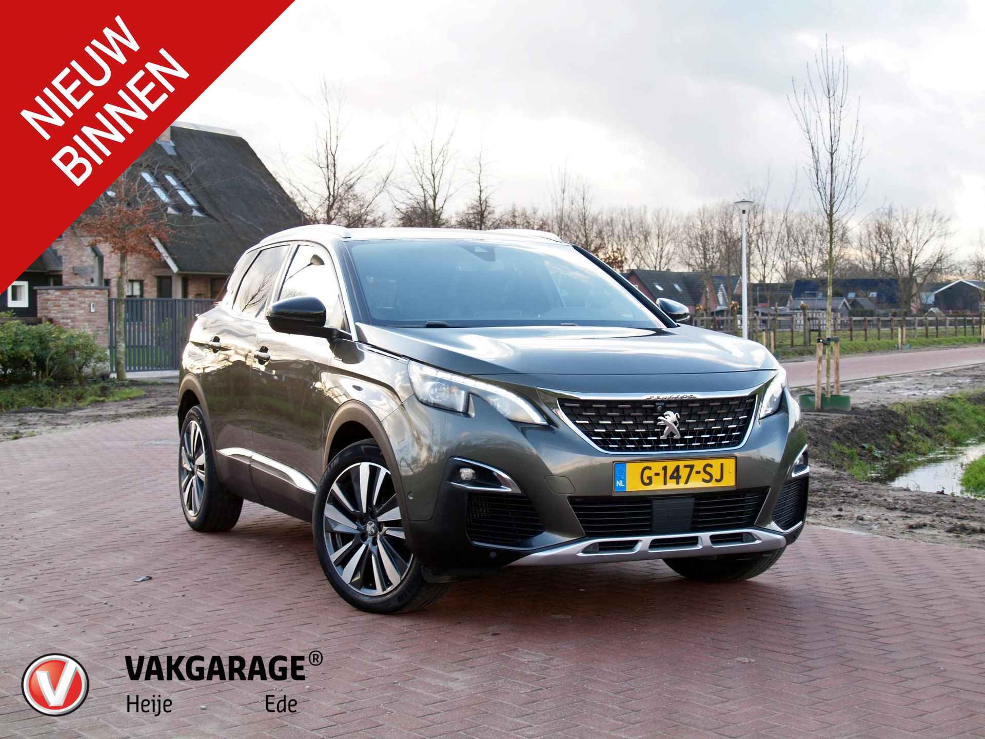 Peugeot 3008 BOVAG 40-Puntencheck