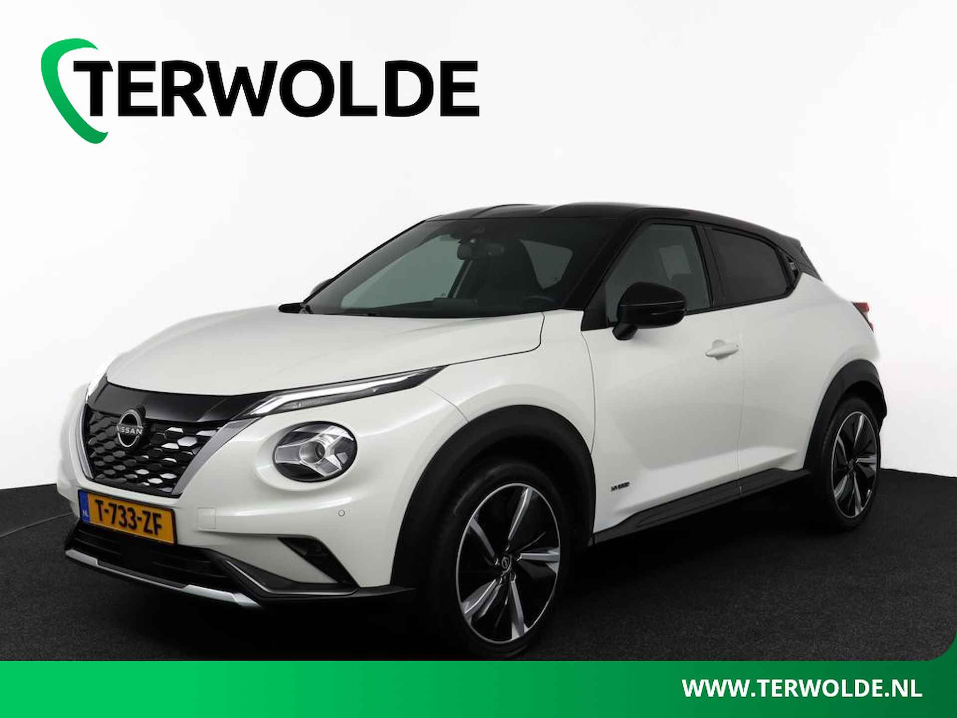 Nissan Juke BOVAG 40-Puntencheck