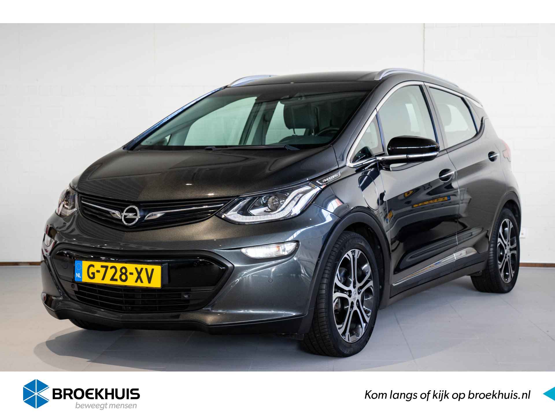 Opel Ampera-E BOVAG 40-Puntencheck