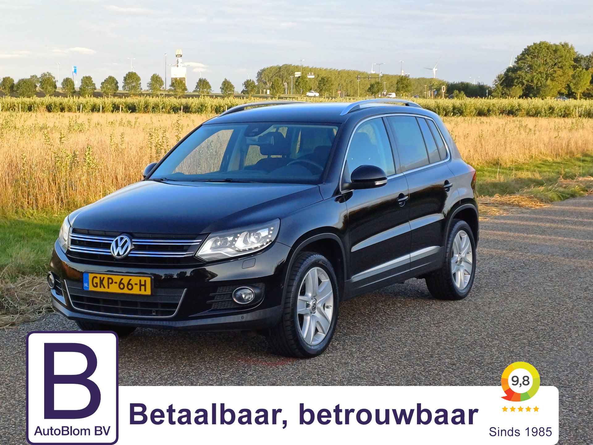 Volkswagen Tiguan BOVAG 40-Puntencheck