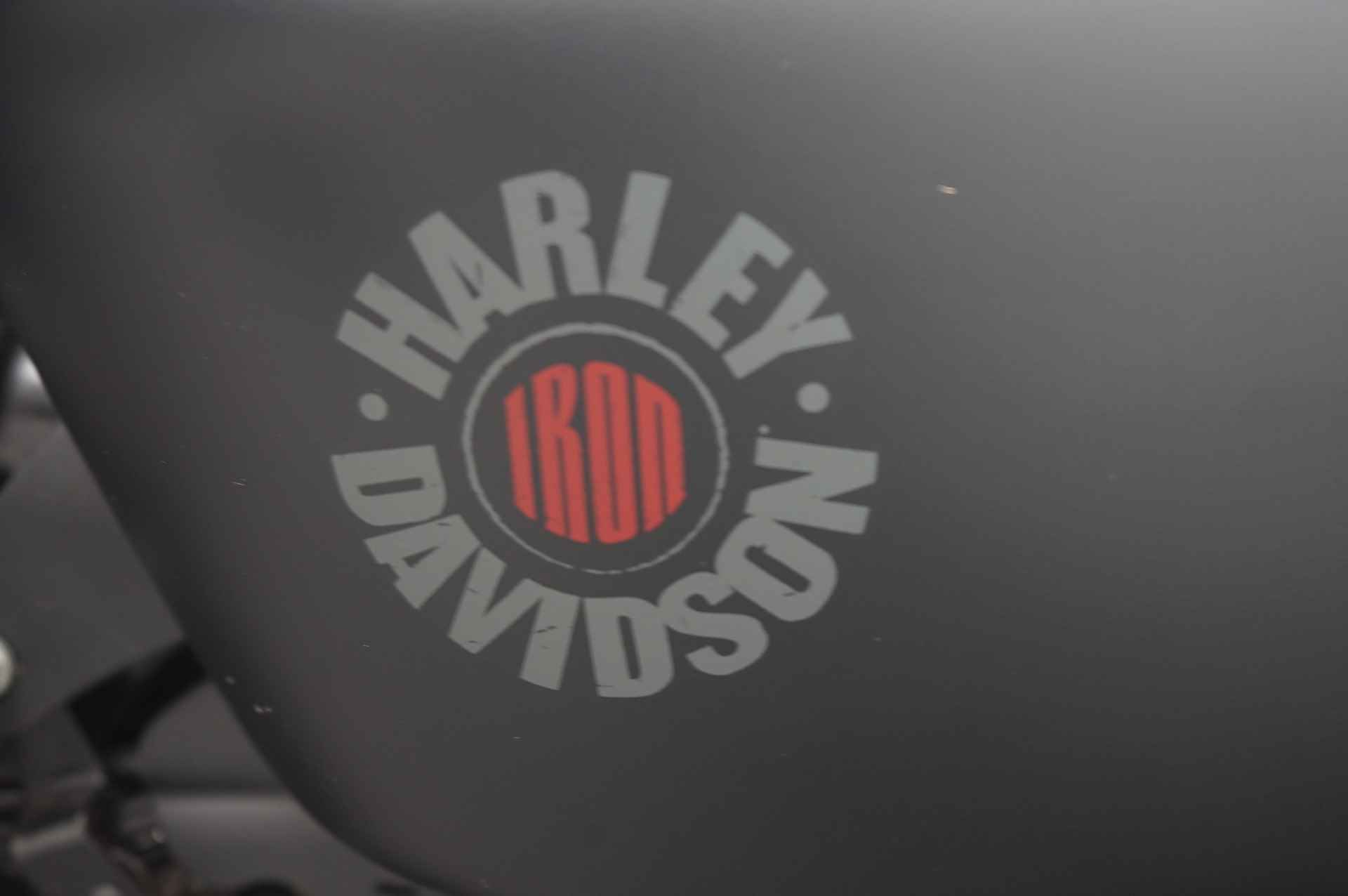 Harley-Davidson SPORTSTER IRON XL883 N - 14/15