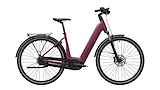 Advanced Ebike Das Original TOUR Pro Wave 45 / Chrushed Berry Act Pl. 50 / 500